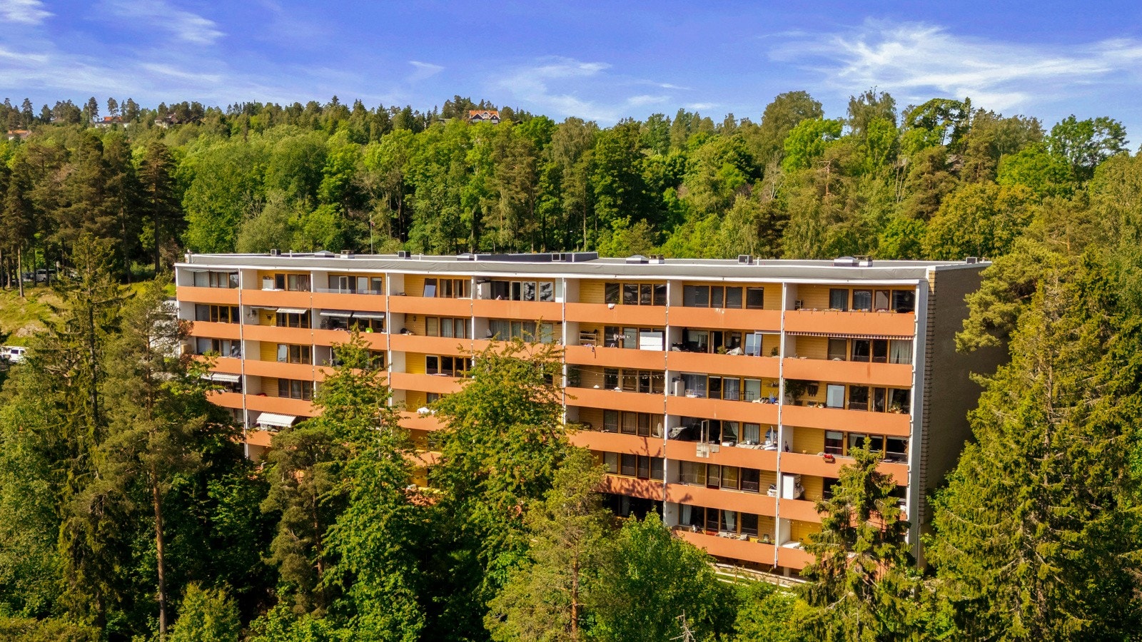 Dette er et område hvor barnefamilier og naturelskere trives spesielt godt. Galleribilde