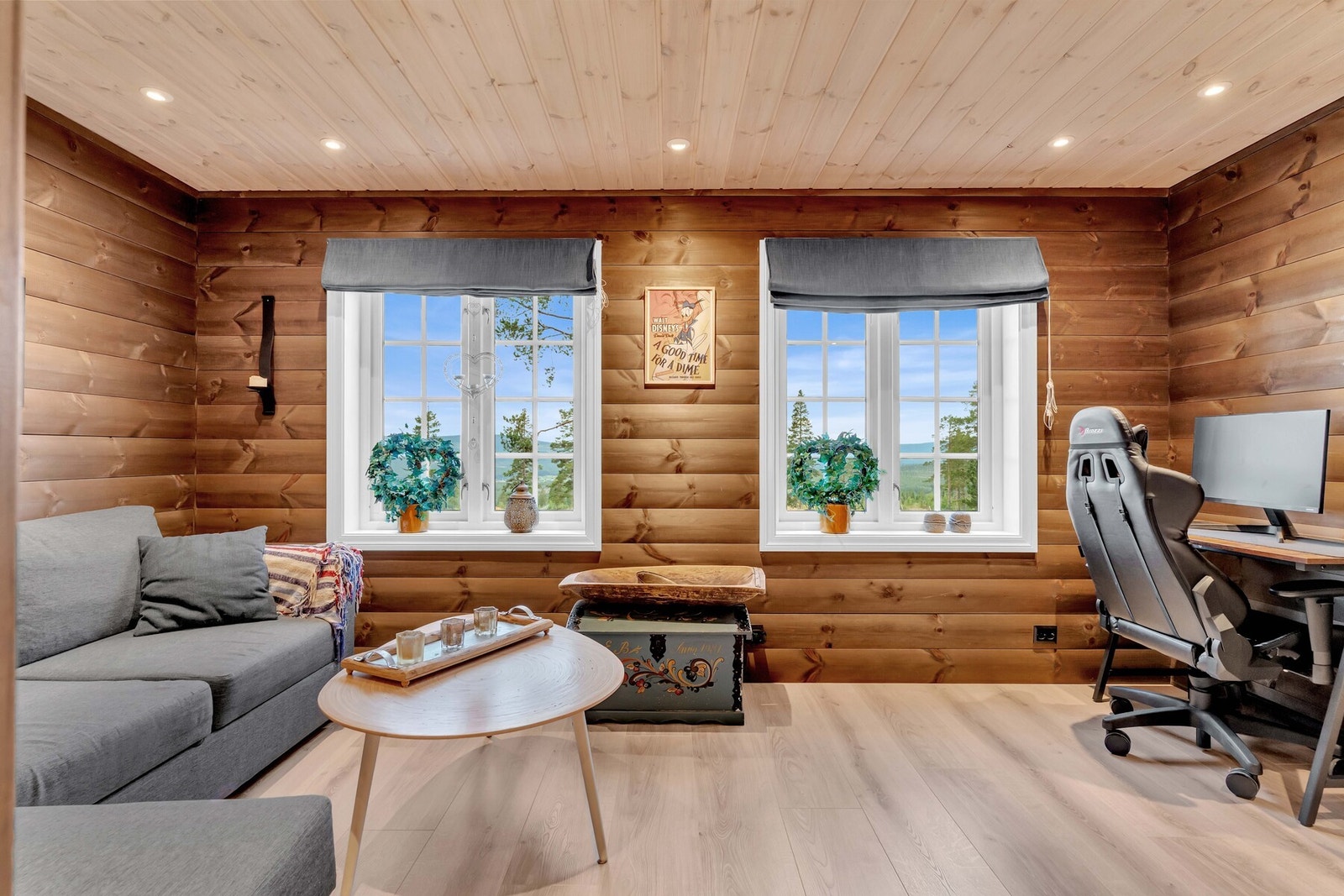 Rommet kan bli et spennende lekerom for de minste, et eget ungdomsrom, eller et koselig sted med sofa og TV for avslapning og samvær. Galleribilde