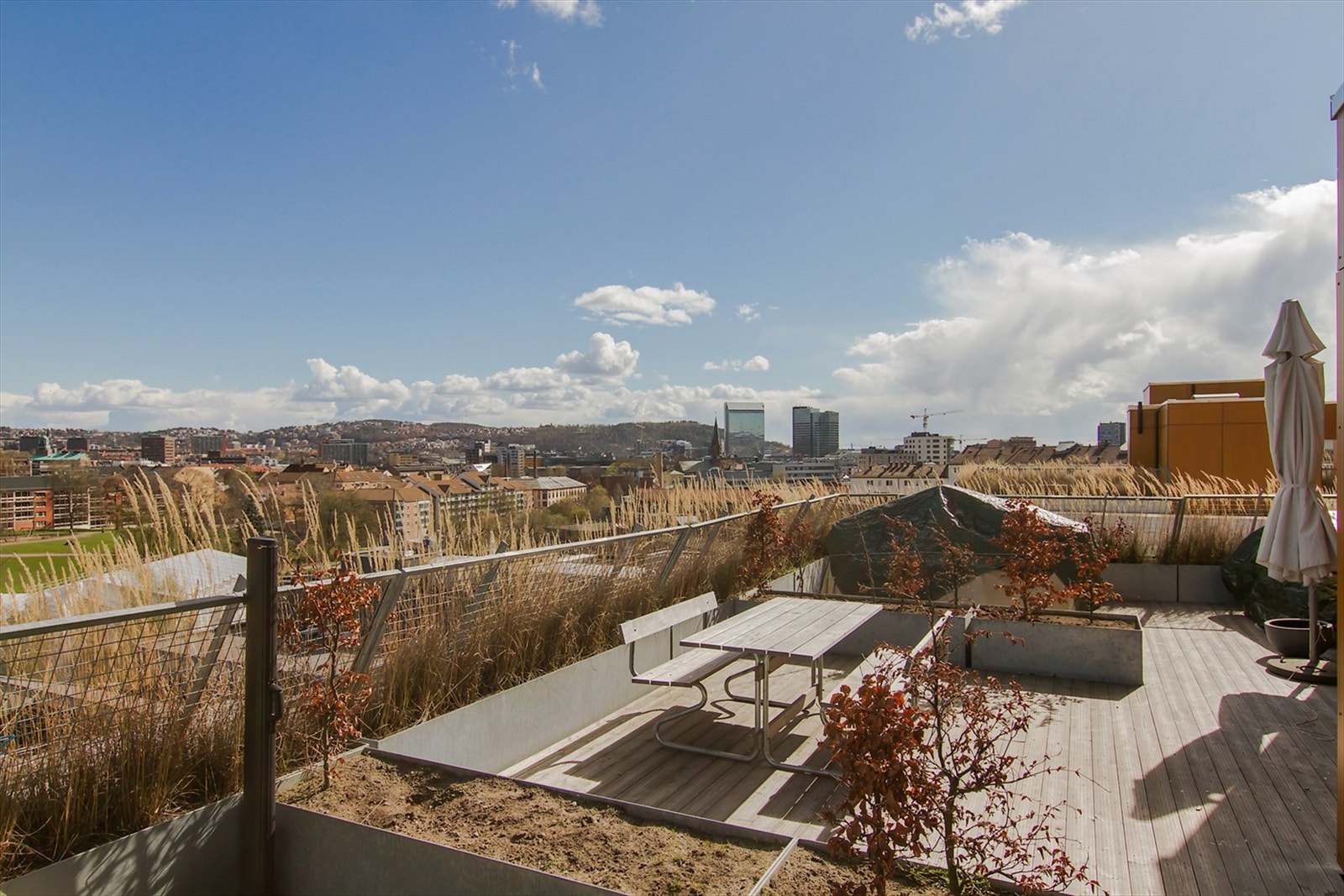 Felles takterrasse. Galleribilde