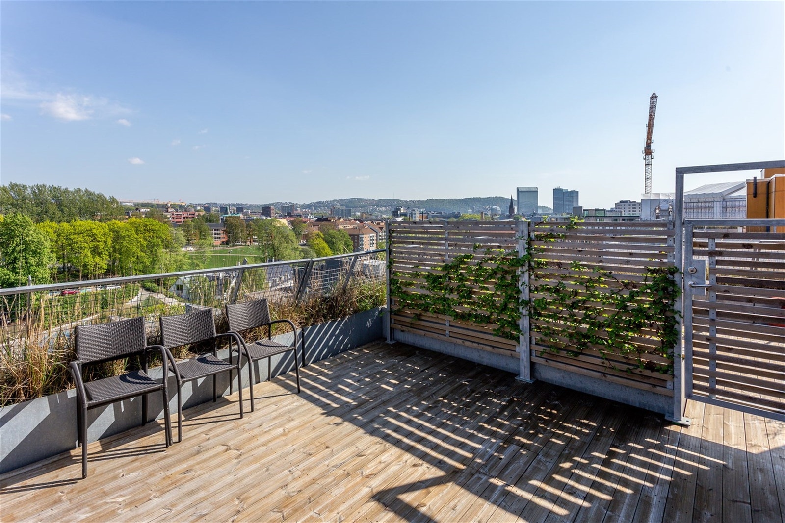 Felles takterrasse. Galleribilde