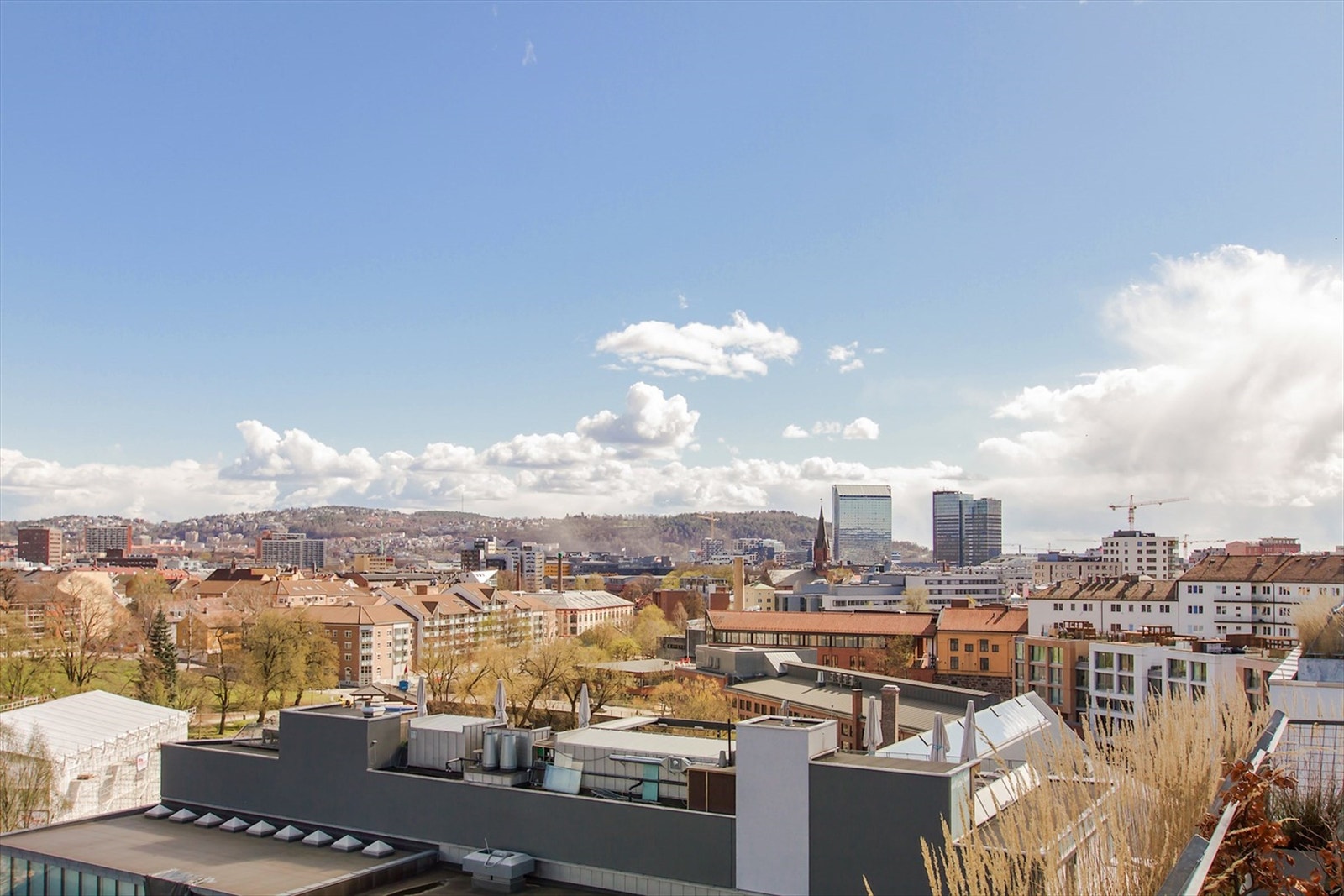 Felles takterrasse. Galleribilde