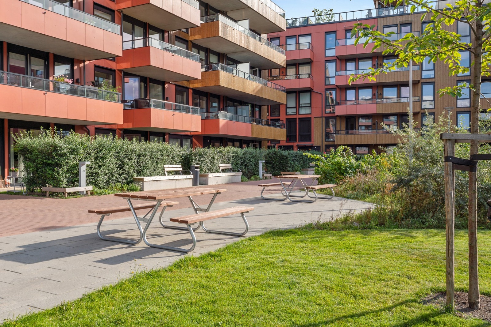 Borettslagets gårdsrom er flott tilvokst med trær og bærbusker. Her er hyggelige plasser å slå seg ned på. Galleribilde