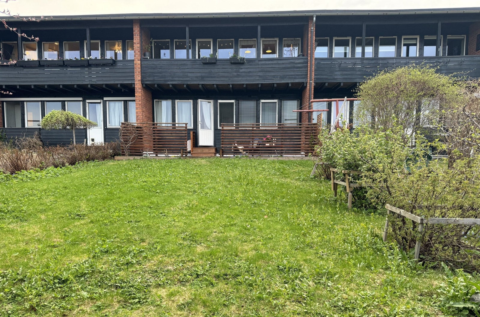 HAGE PÅ BAKSIDEN Galleribilde