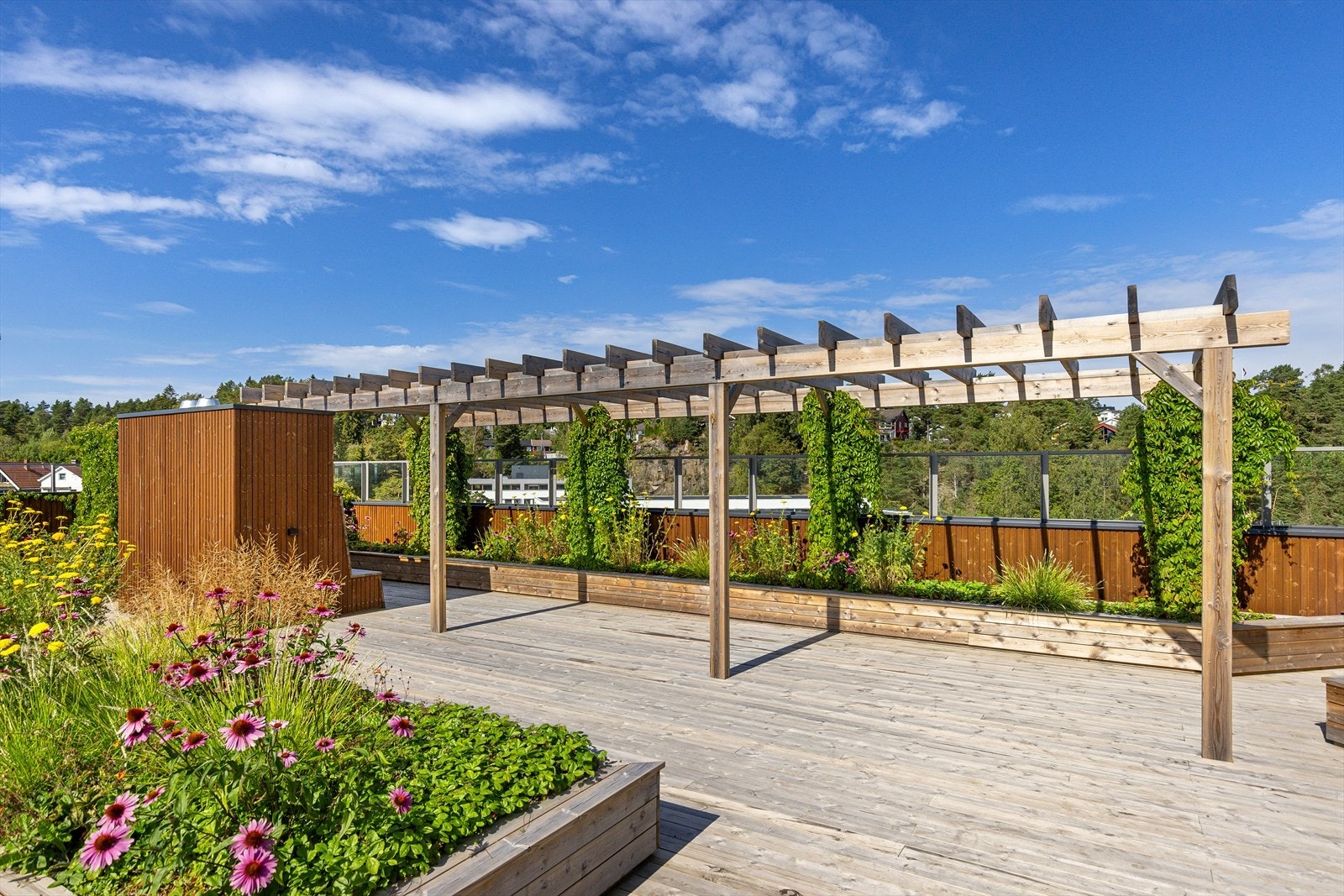 Flotte omgivelser. god utsikt og beplantning og blomsterbed. Galleribilde