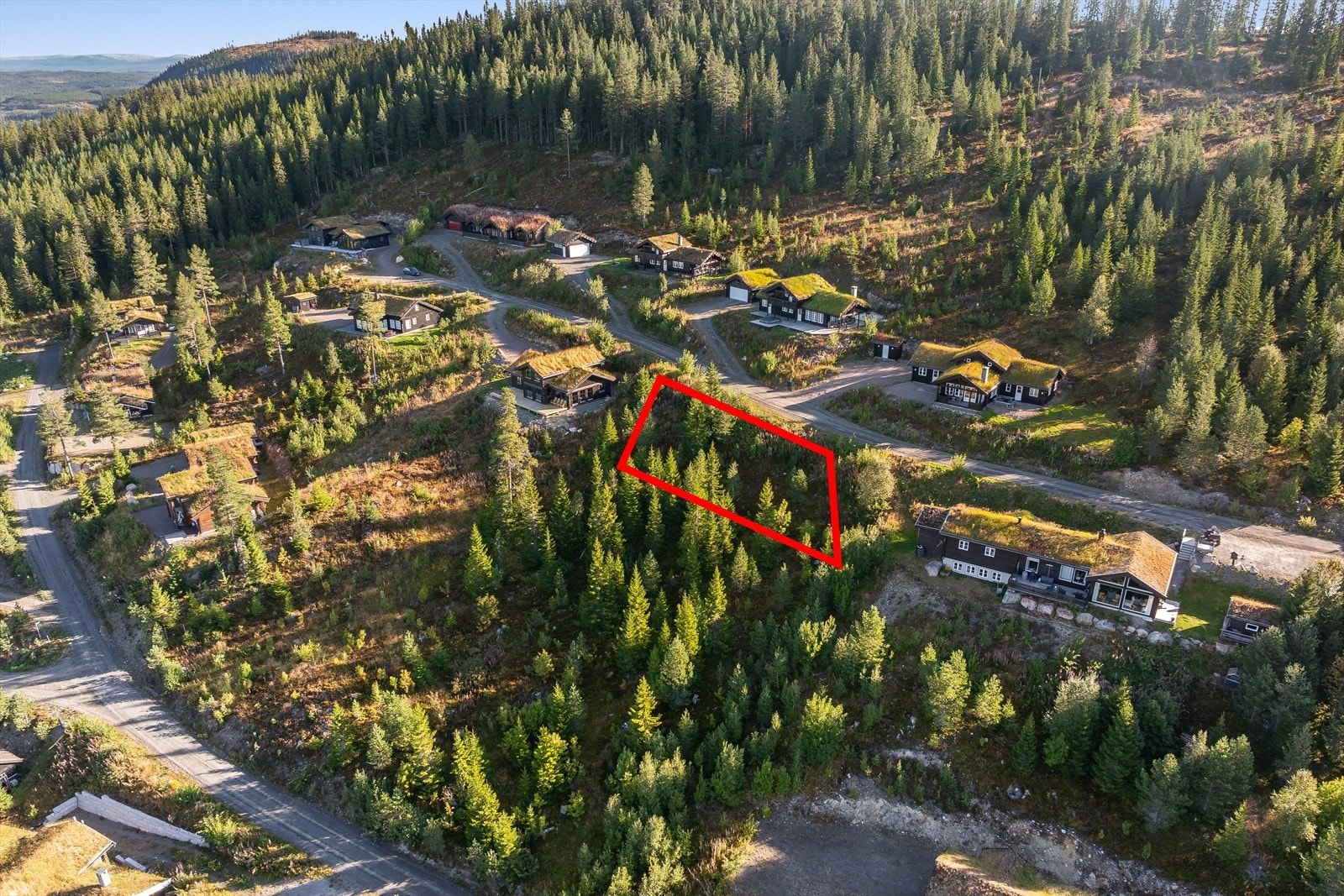 3176-3-1_003.jpg Galleribilde