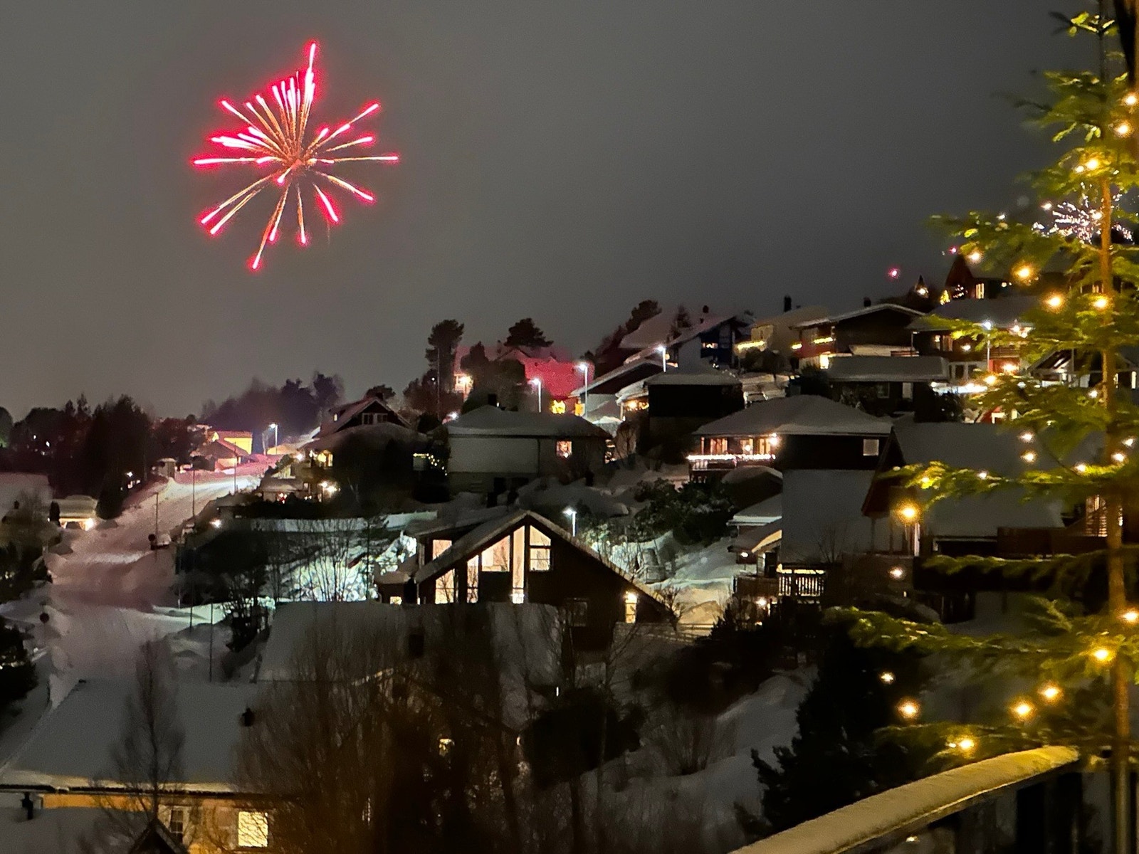 Selgers bilde Galleribilde