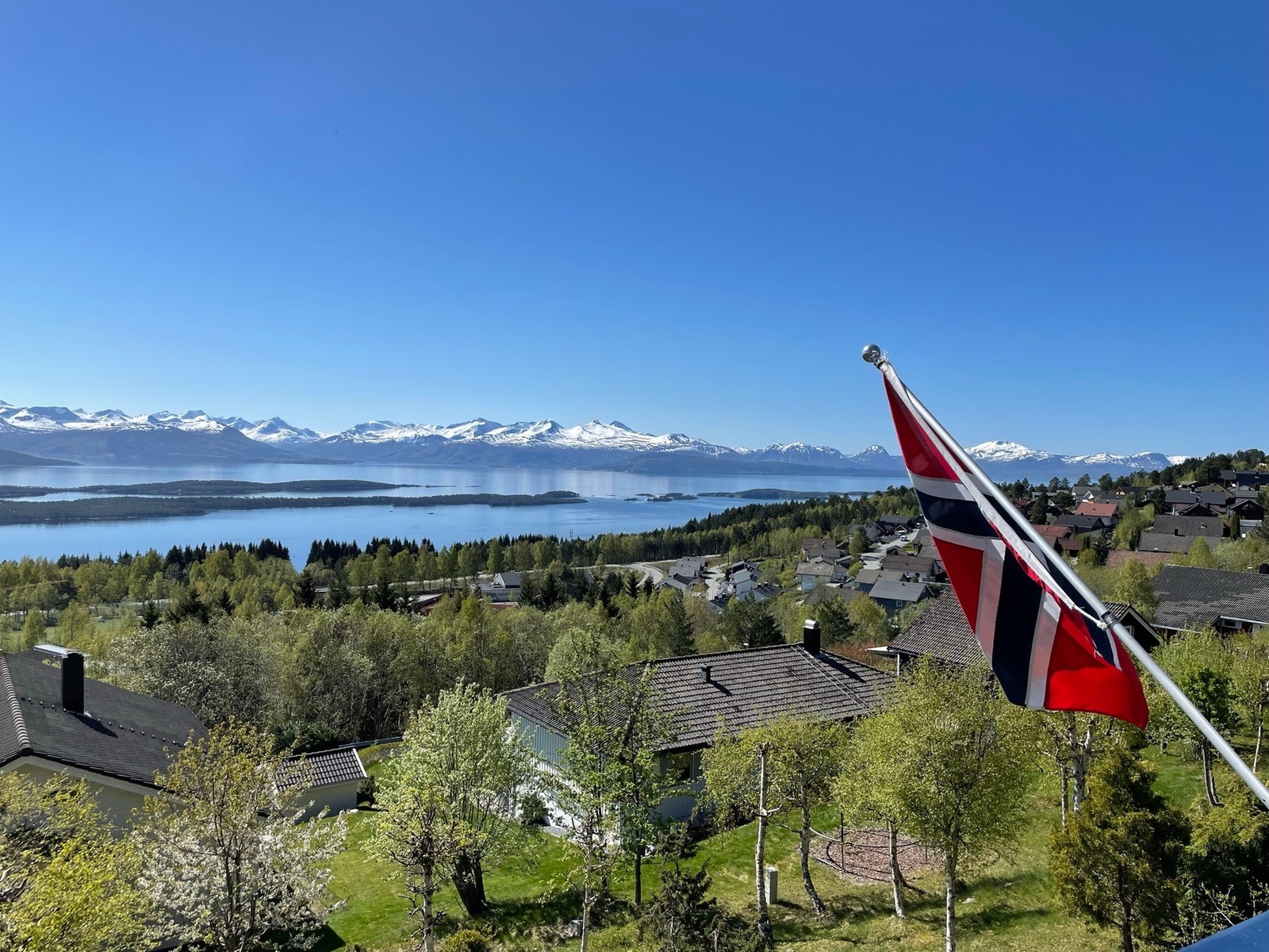 Selgers bilde Galleribilde