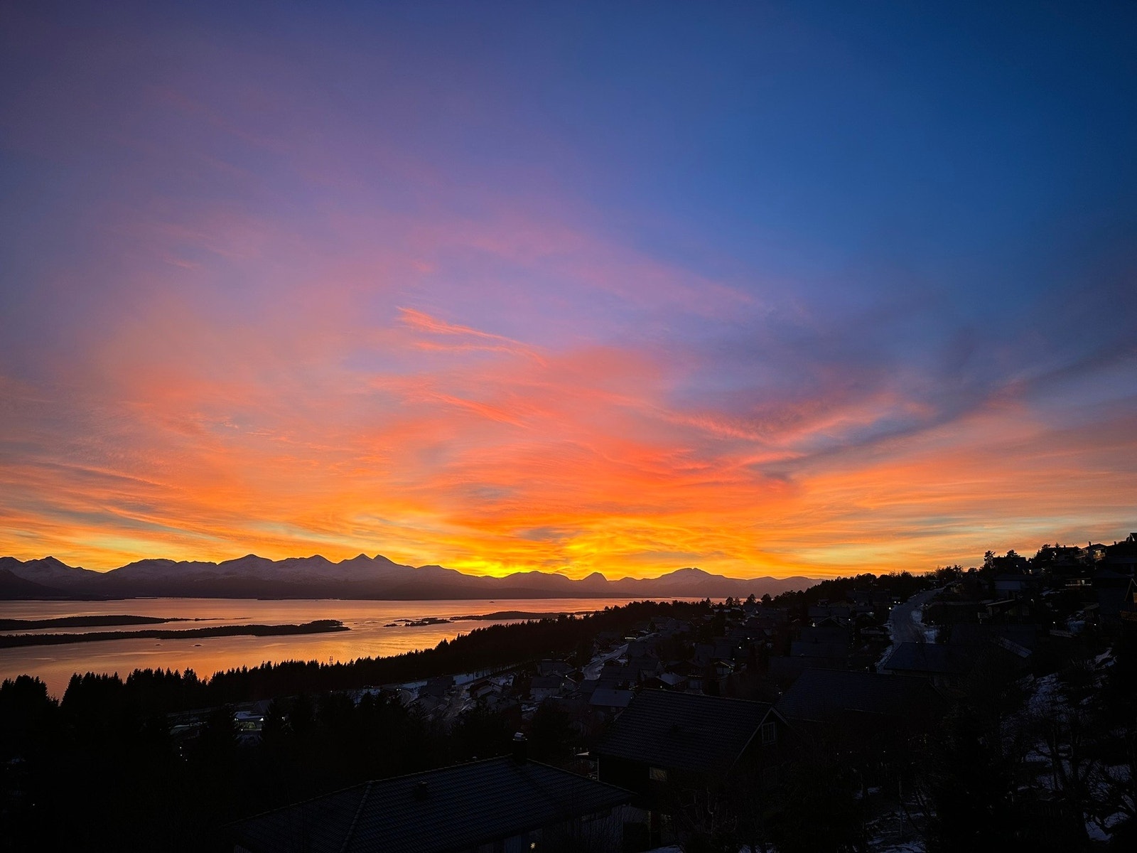 Selgers bilde Galleribilde