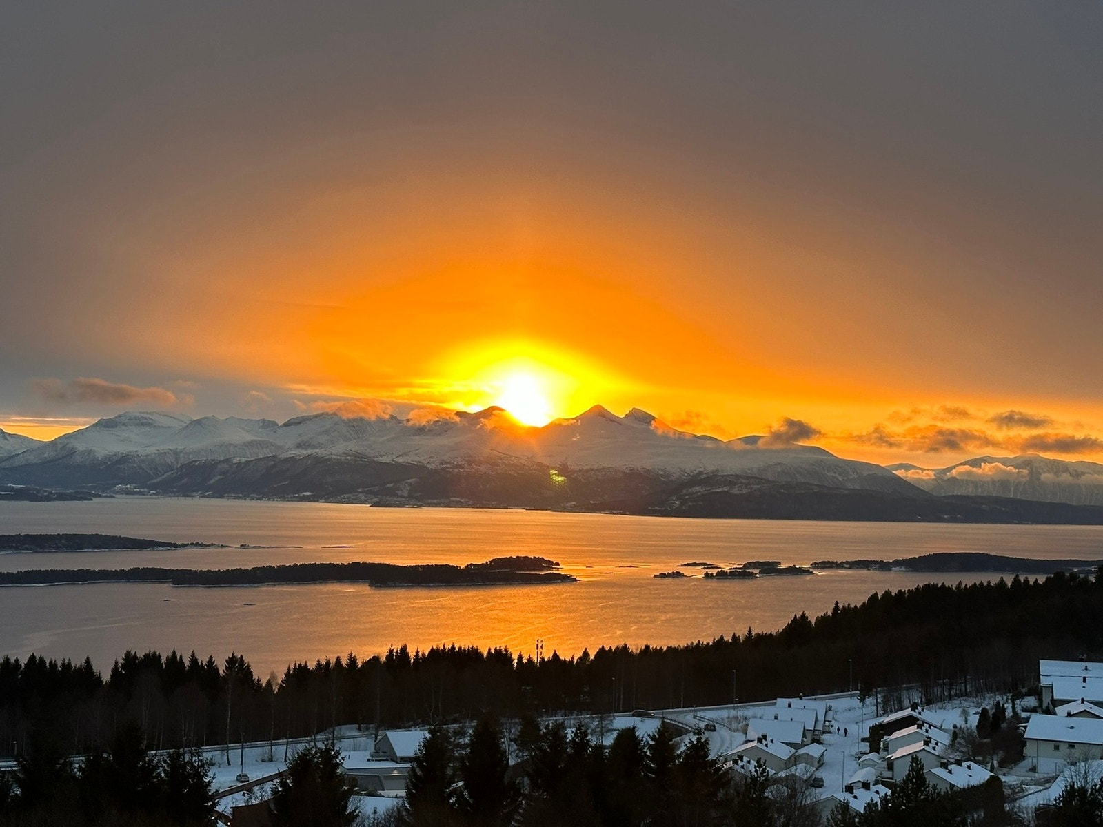 Selgers bilde Galleribilde