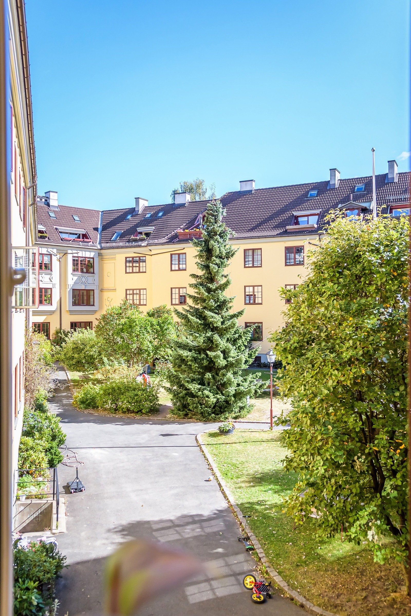 Fin utsikt til frodig bakgård. Galleribilde