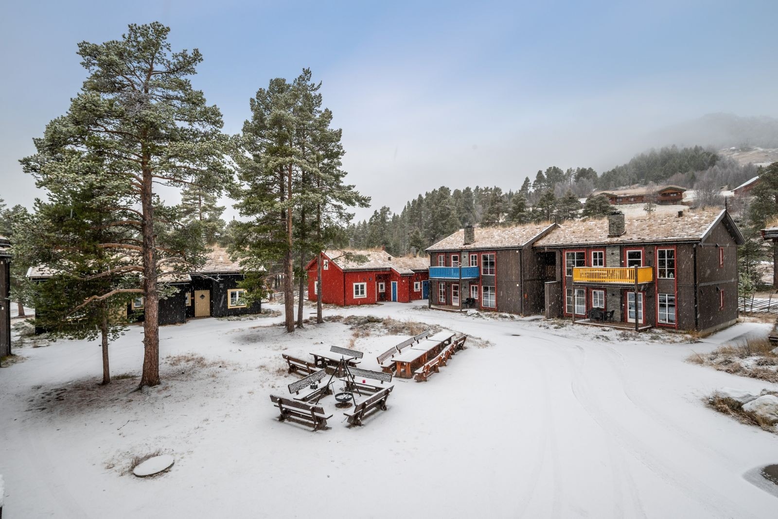 Fine fellesområder. Galleribilde