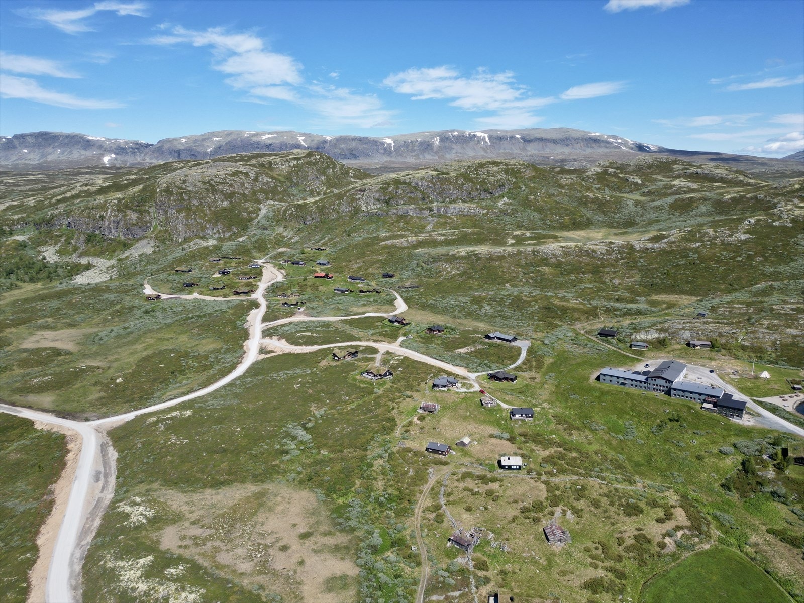 Reineskarvet i bakgrunn Galleribilde