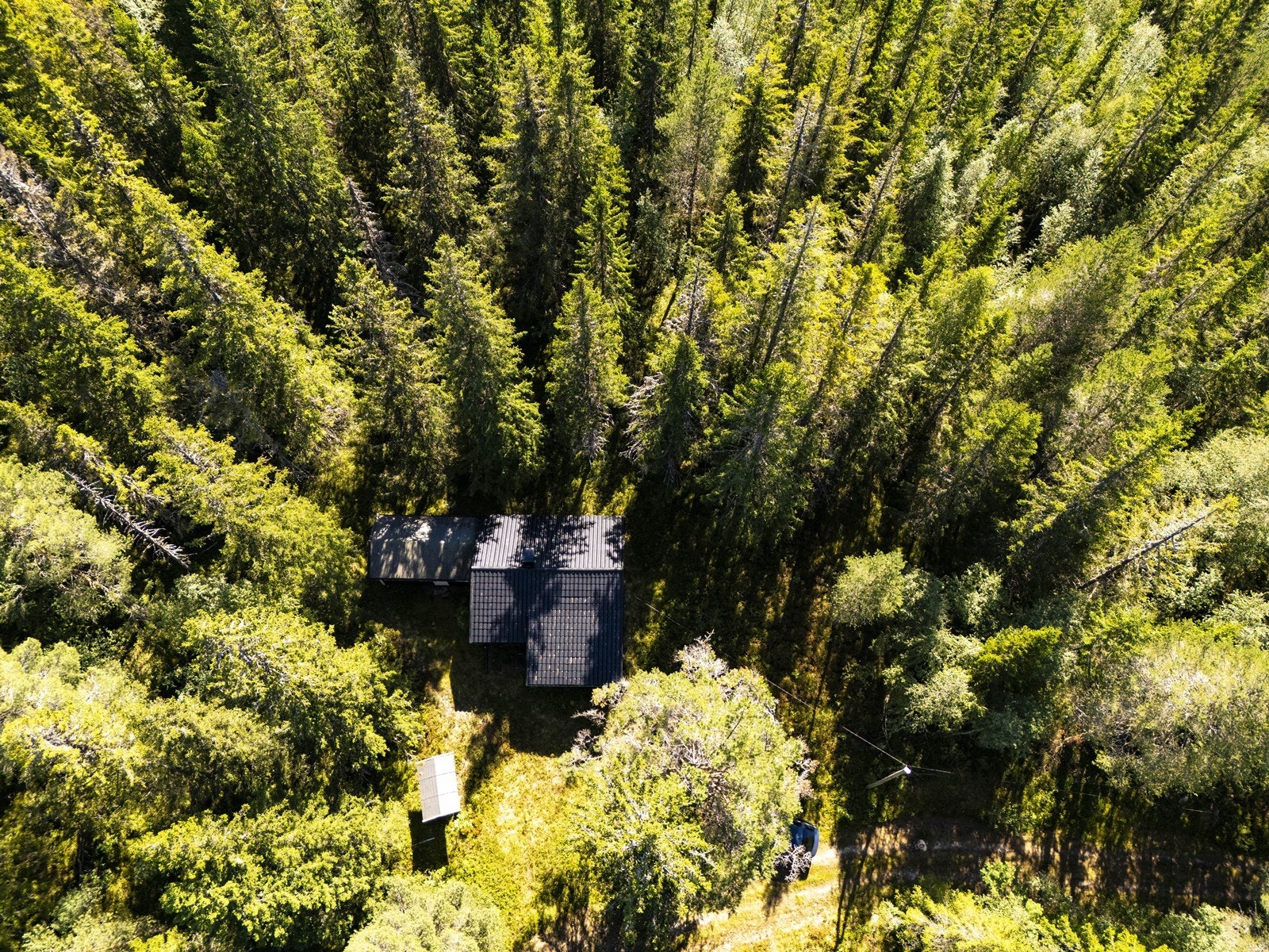 Skjermet hytte på Rundskogen - Usjenert med nærhet til naturen og gode turmuligheter Galleribilde