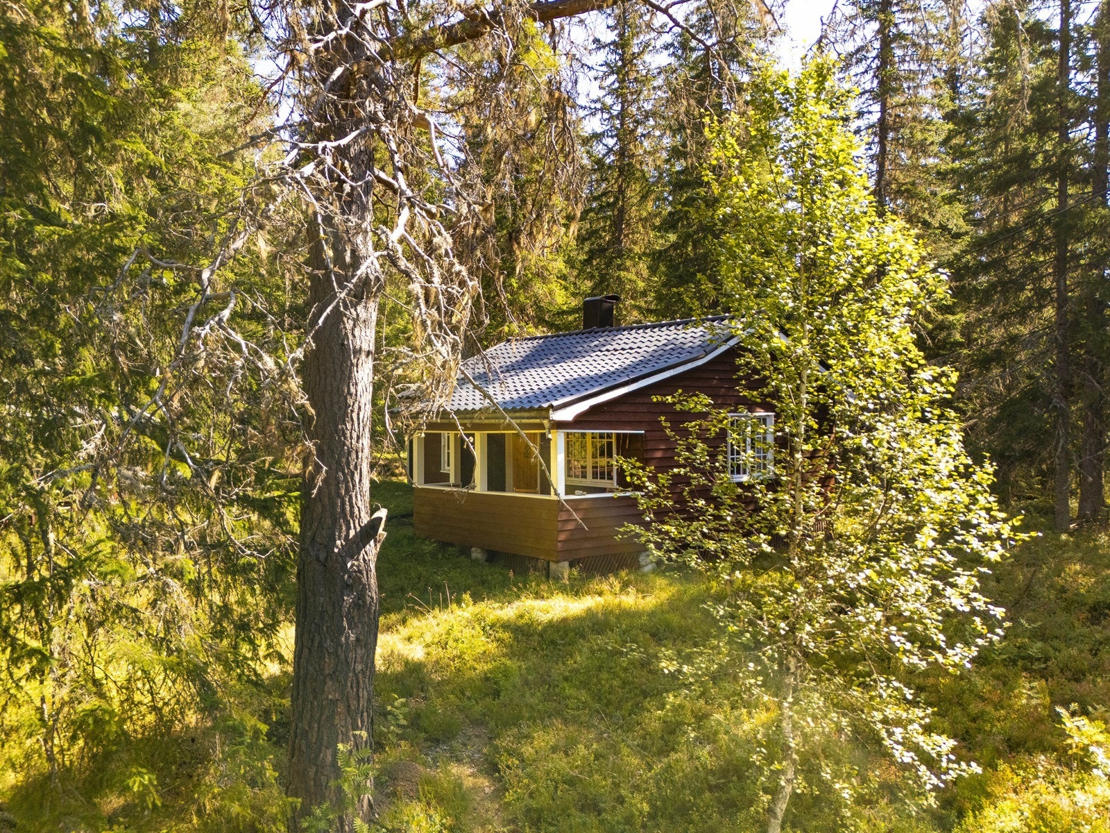 Hytta ligger idyllisk til på Rundskogen, vest for Norefjell, i rolige og skjermede omgivelser uten innsyn fra andre hytter. Galleribilde