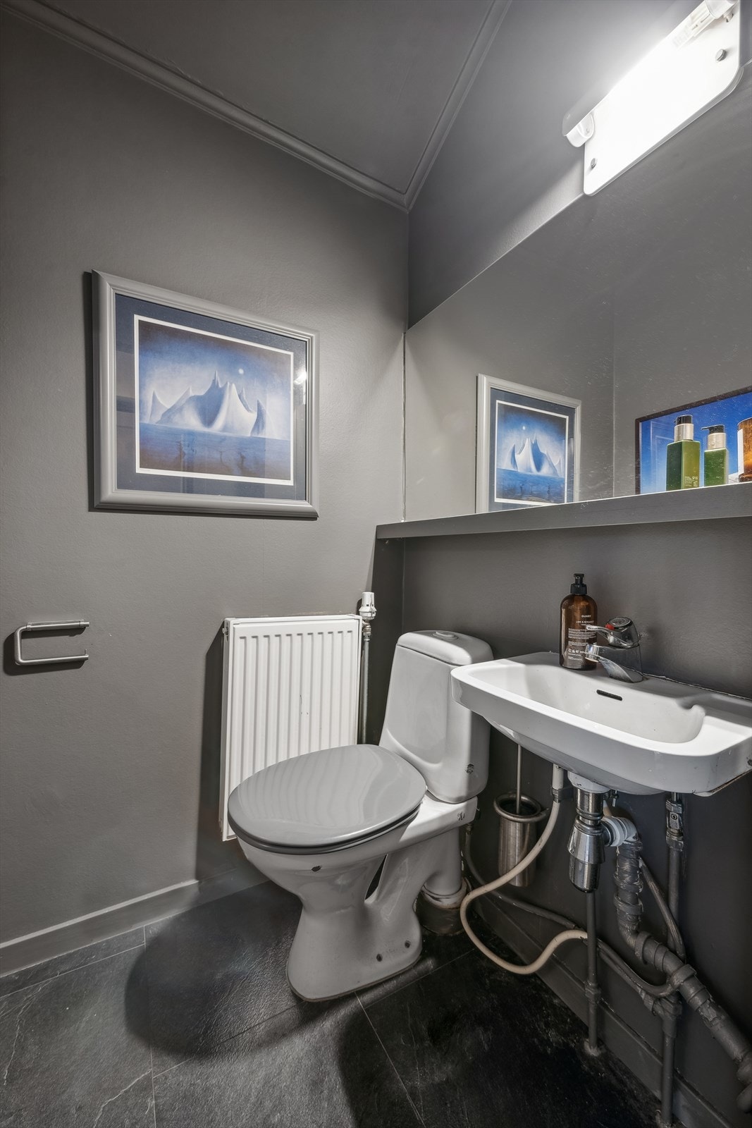 Separat toalettrom med laminat på gulv. Malt puss på vegger. Rommet har gulvstående toalett og enkel servant. Naturlig avtrekk. Galleribilde