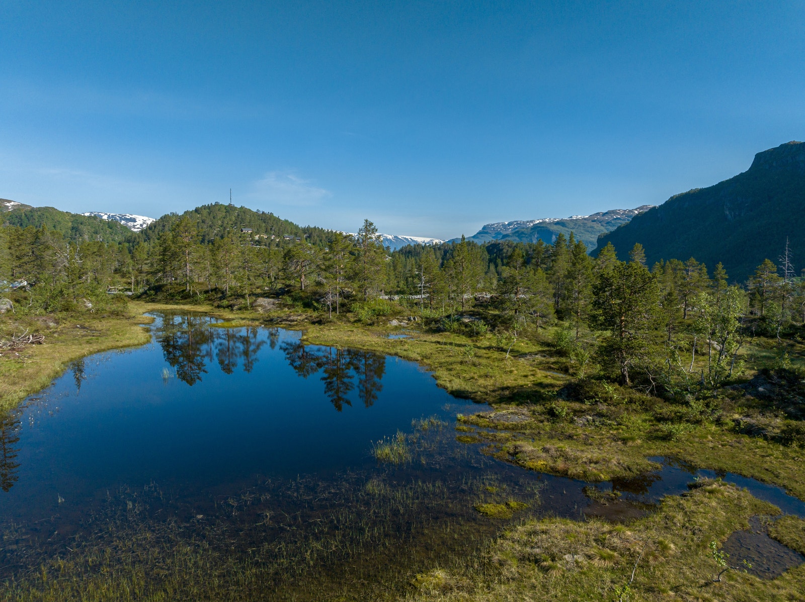 Flotte naturlige tjern midt i feltet Galleribilde