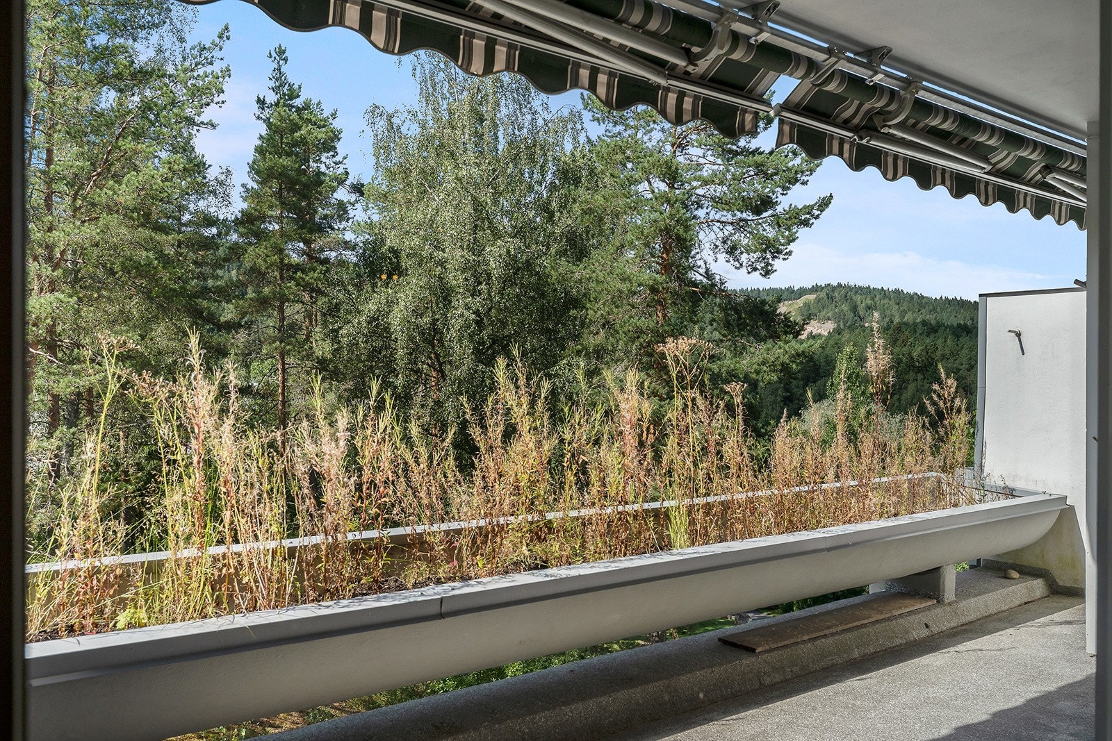 Balkongen har har et skjermet og fint utsyn til skog natur i område. Galleribilde