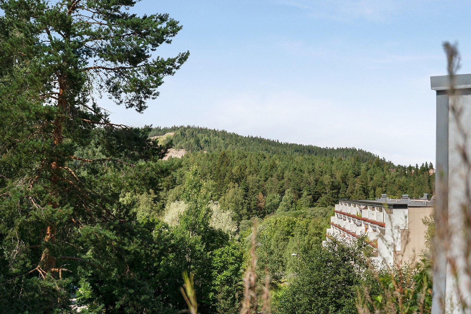 Nærområde Galleribilde