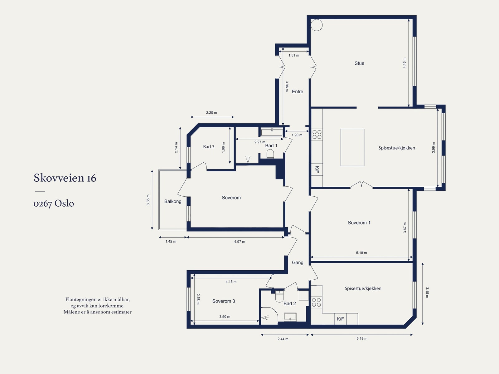 Alternativ plantegning 2 med hybel. Galleribilde