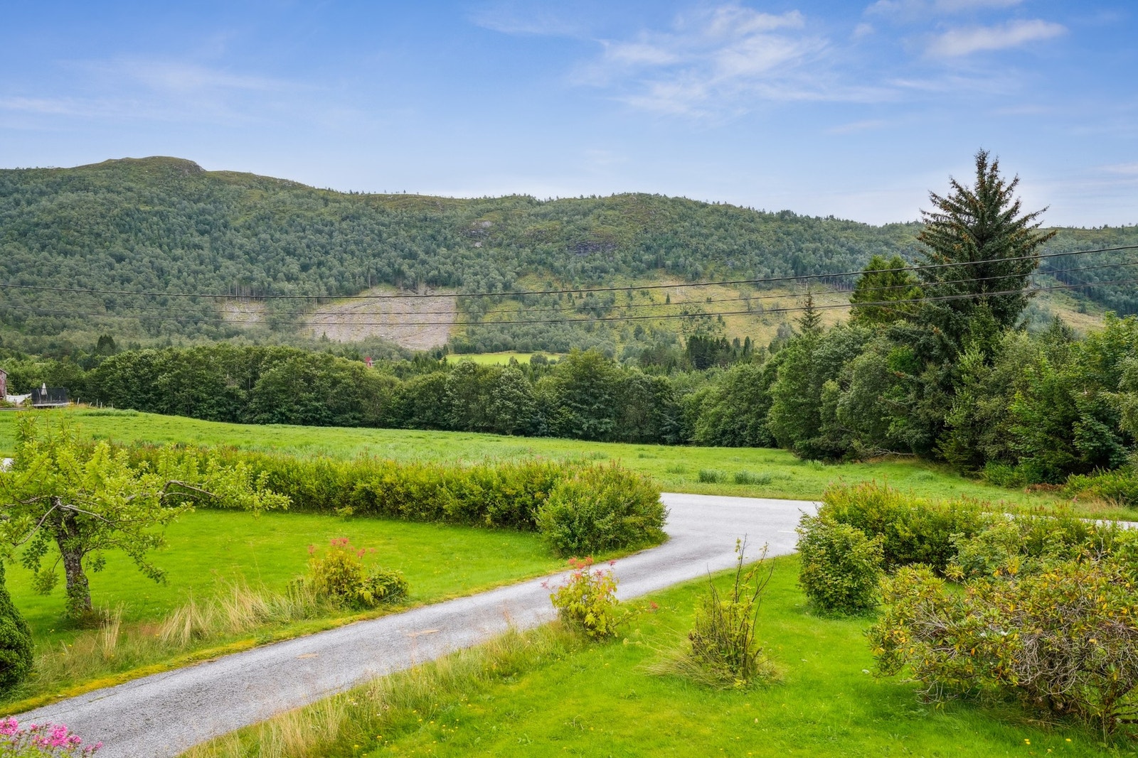 Boligen er sørvendt og har en grønn og frodig utsikt som kan nytes direkte fra middagsbordet. Galleribilde