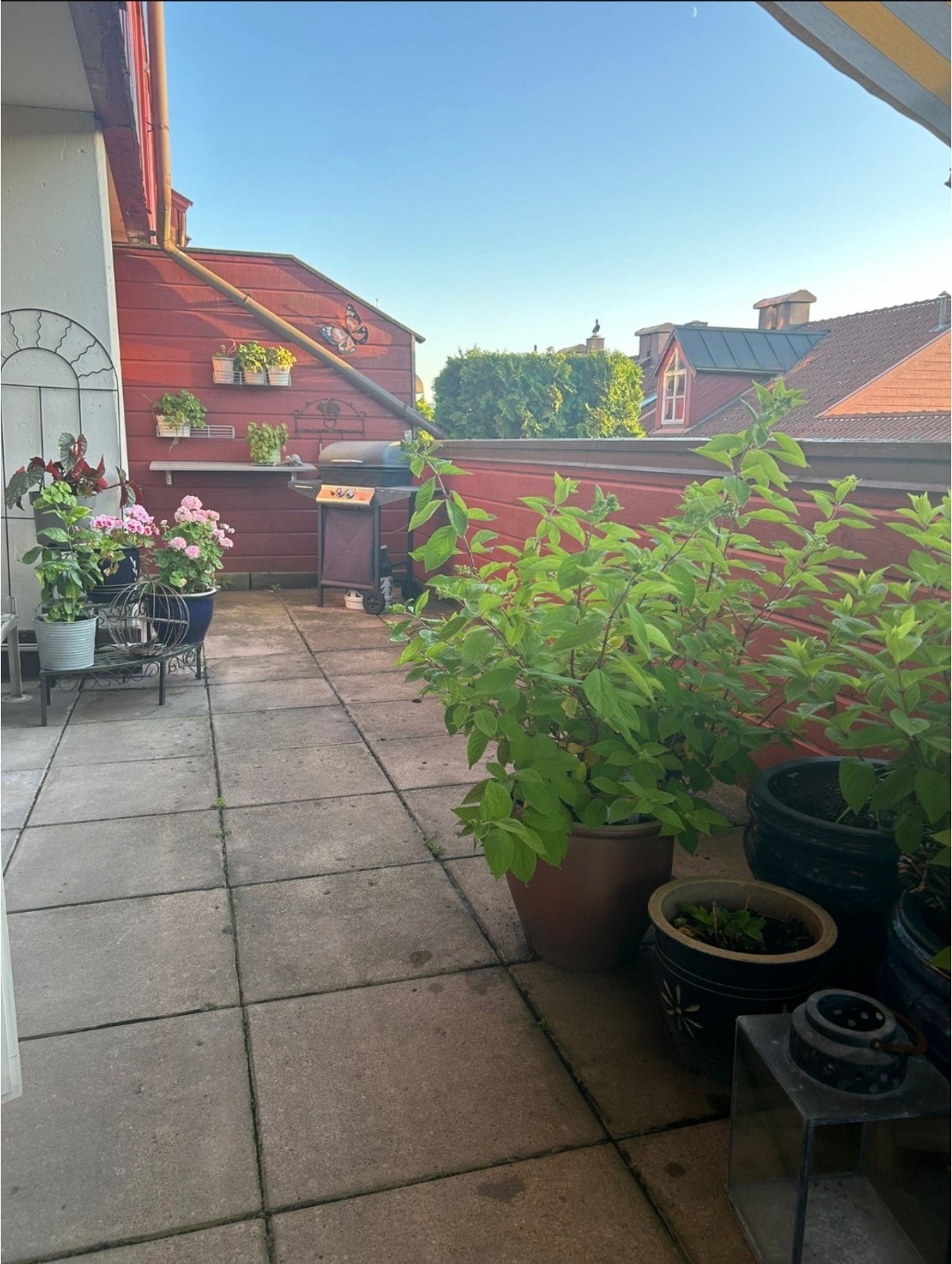 Flott vestvendt terrasse Galleribilde