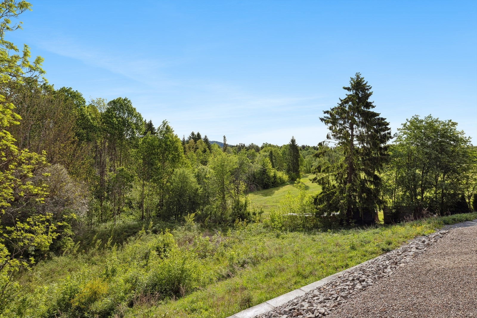 Fra eiendommen kan du ta turen rett ut i marka. Galleribilde
