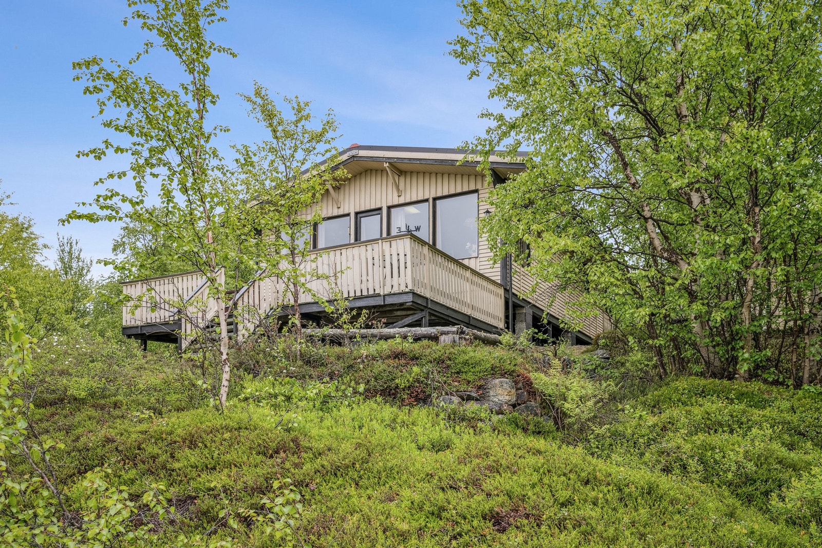 Naturlig og lettstelt tomt med lyng Galleribilde
