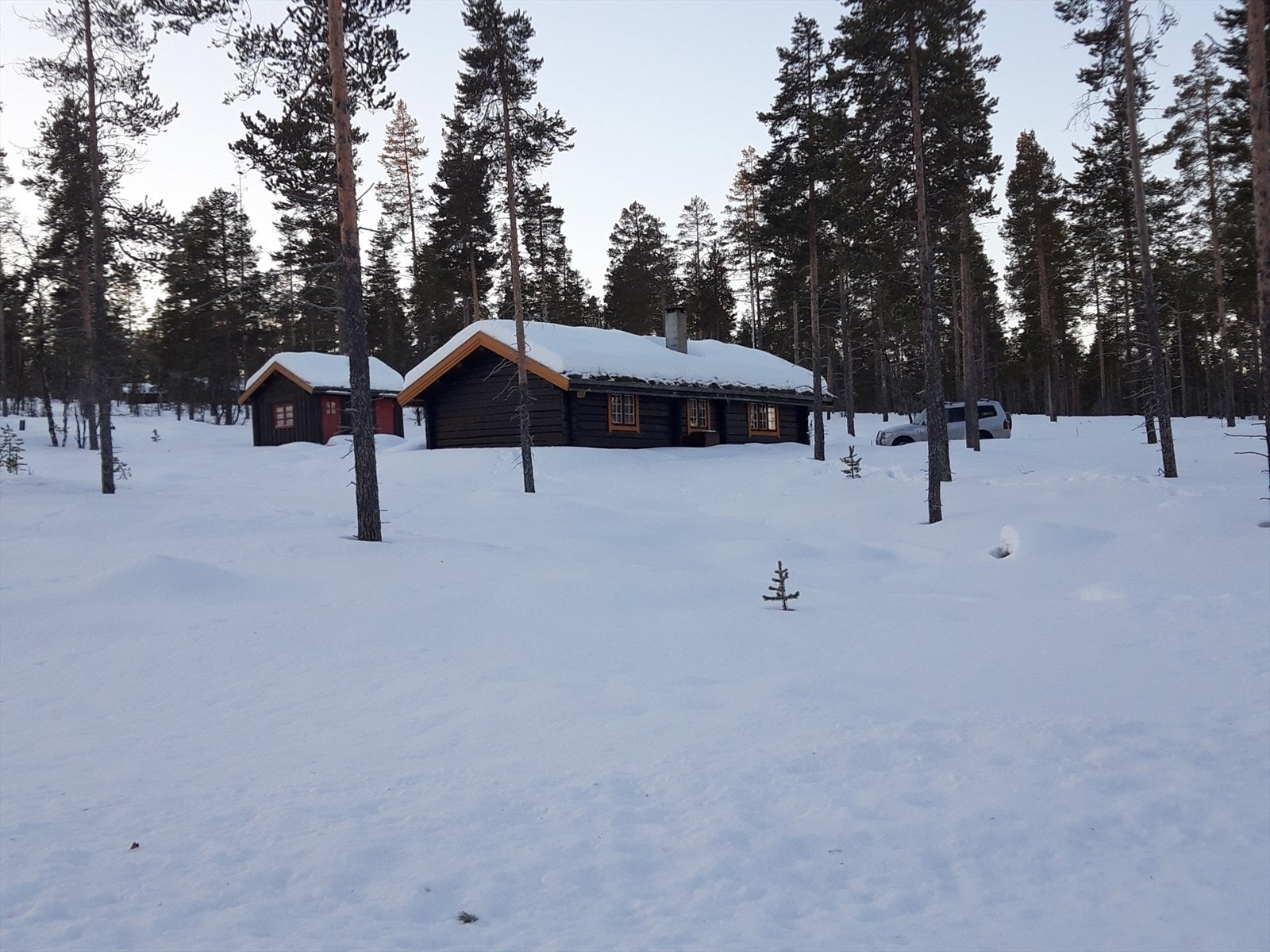 Selgers bilde Galleribilde