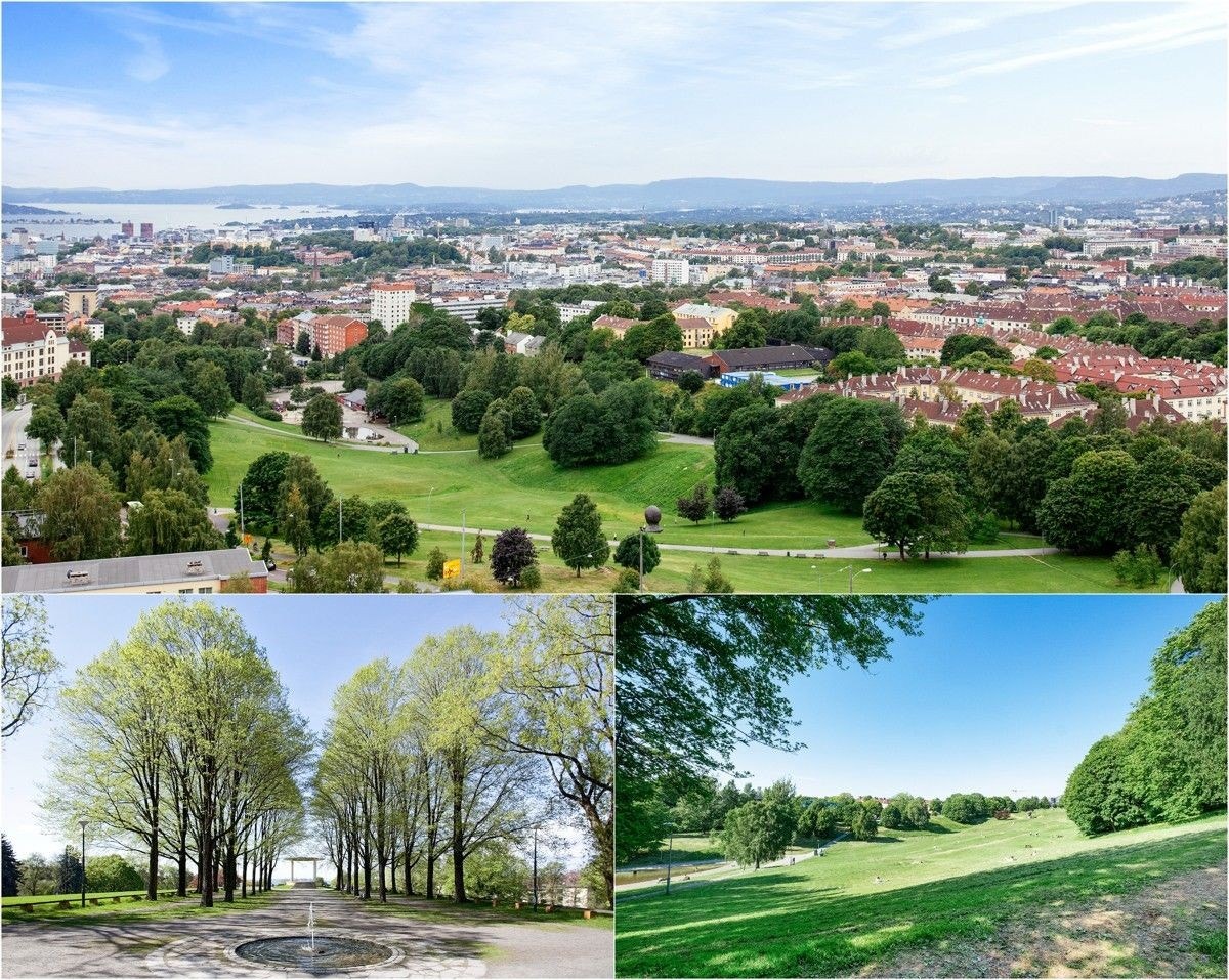 Nærområde Galleribilde