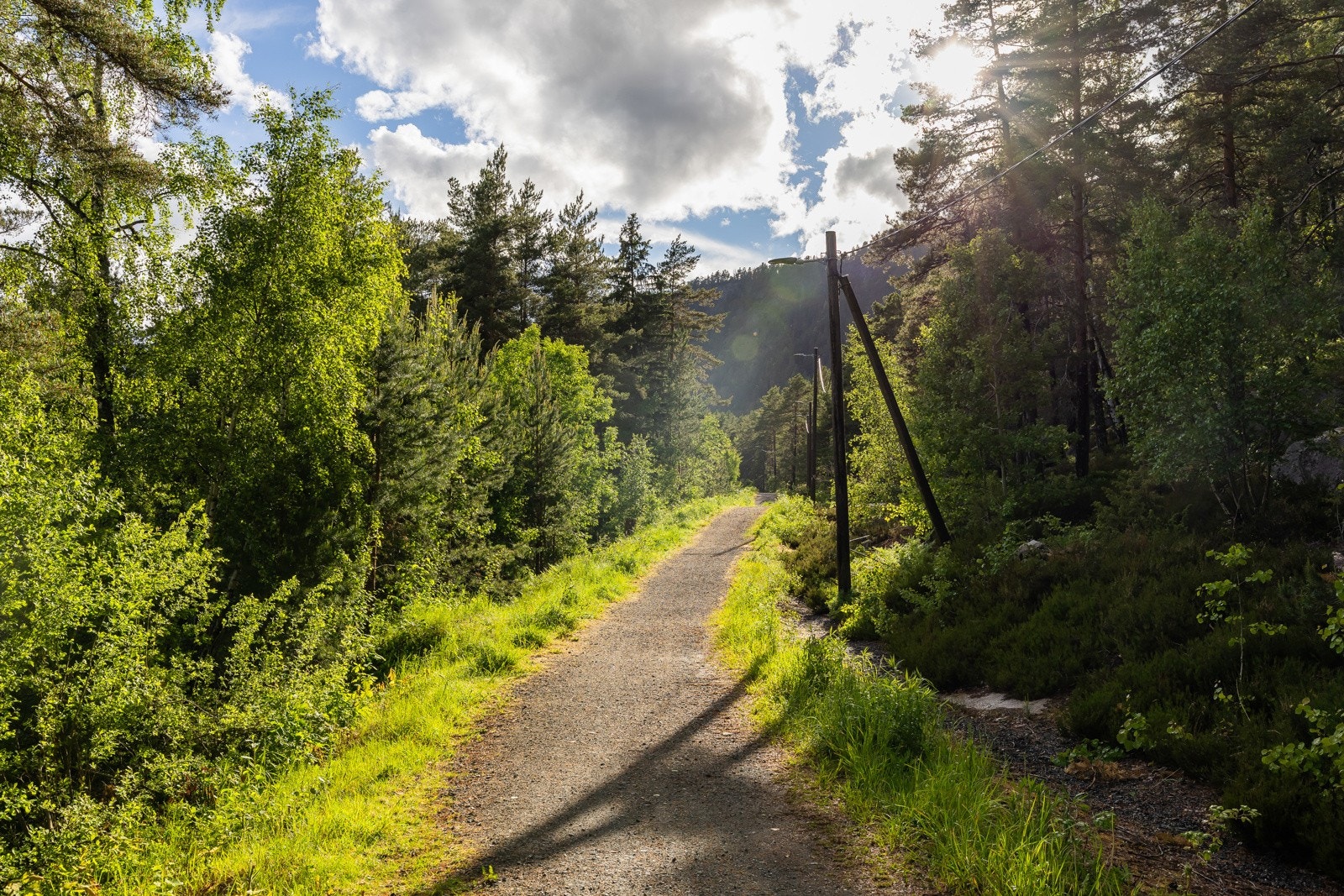 Marka bak boligen byr på flott turterreng, sommer som vinter. Galleribilde
