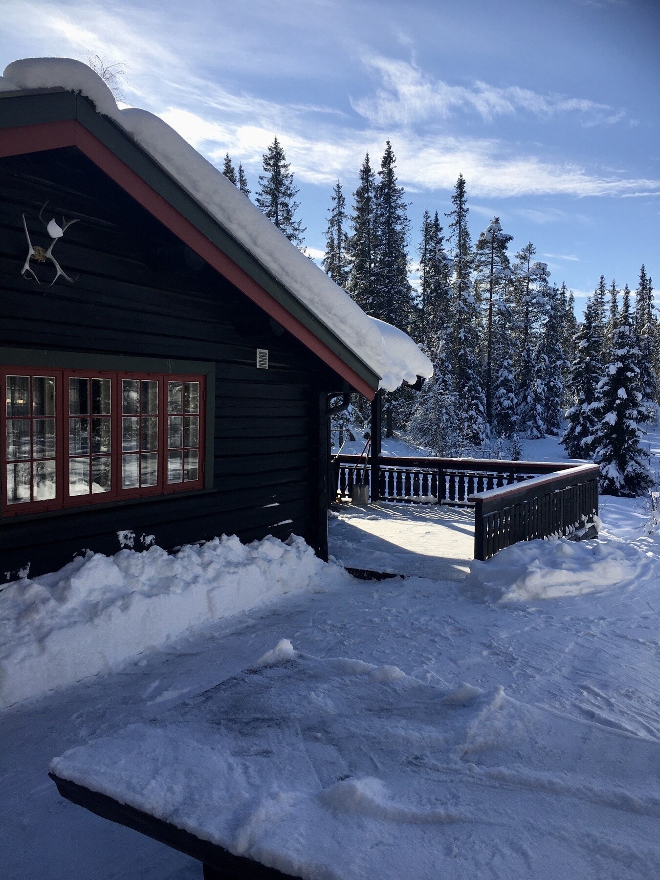 Privat foto Galleribilde
