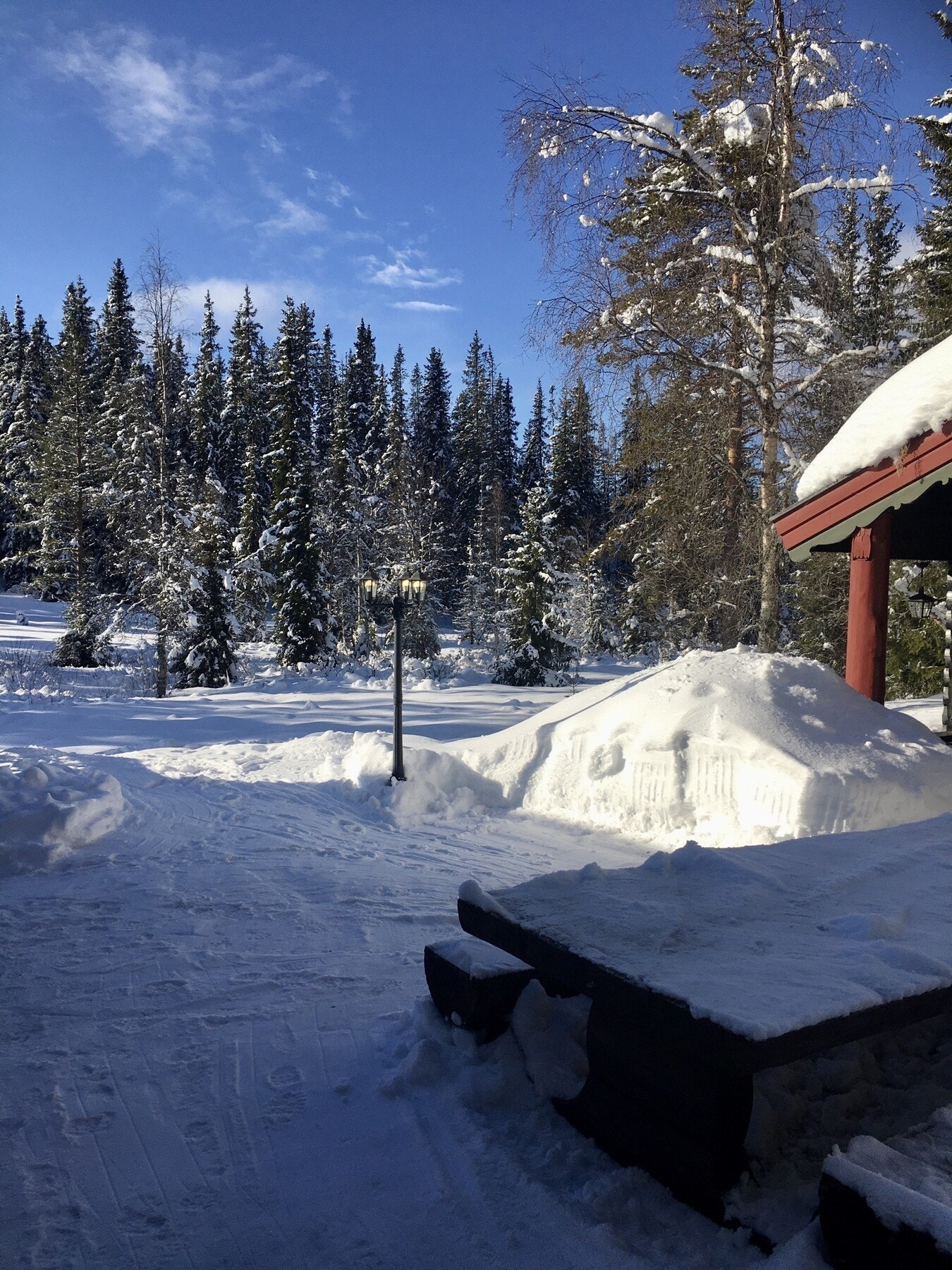 Her er snøgaranti! Privat foto. Galleribilde