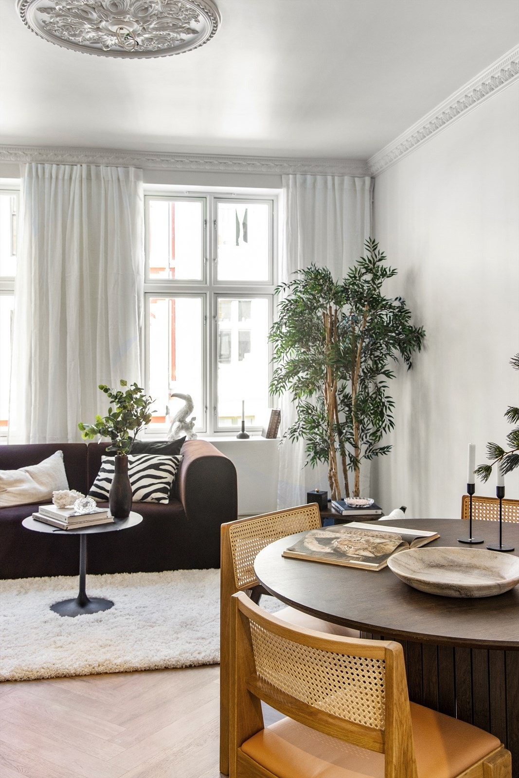 Lekre klassiske detaljer som stukkatur og rosett. Galleribilde