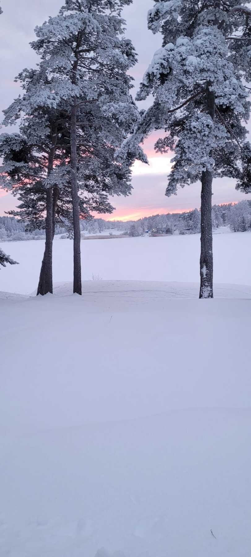 Selgers private foto "Vinteridyll fra hytta" Galleribilde