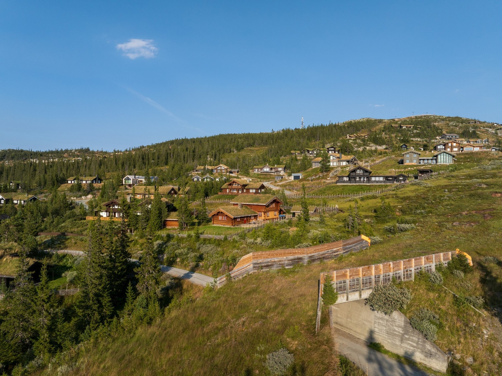 Hyttetunet og bakken. Galleribilde