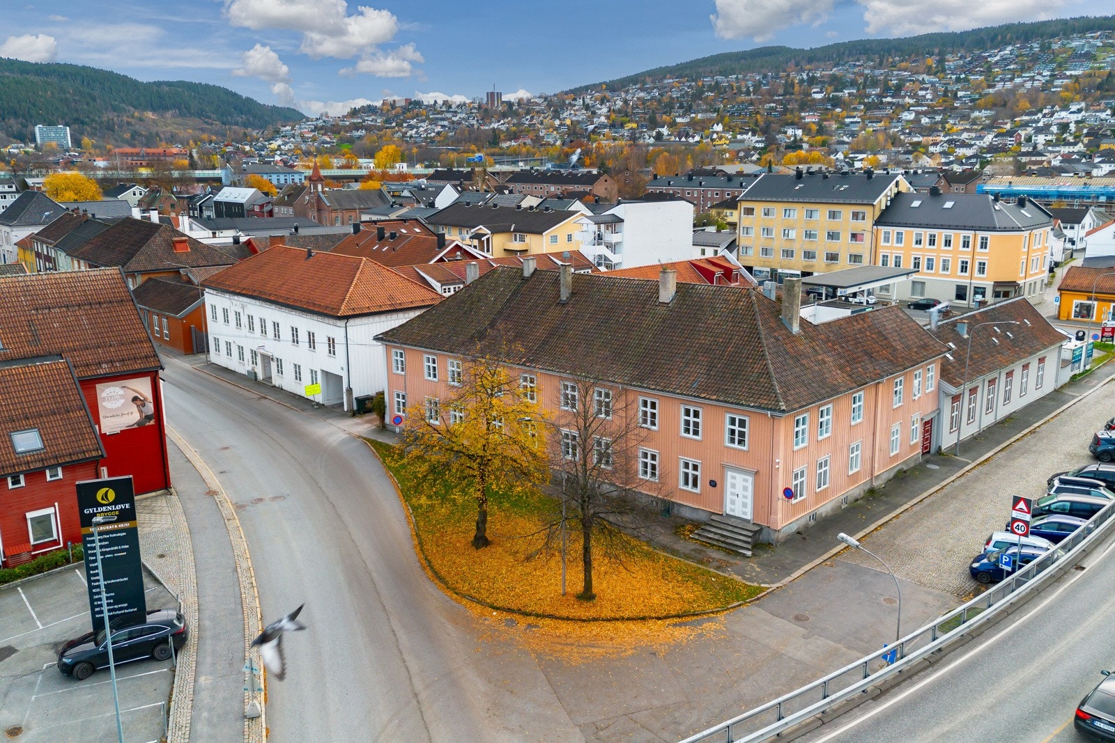 Nærområdet. Galleribilde