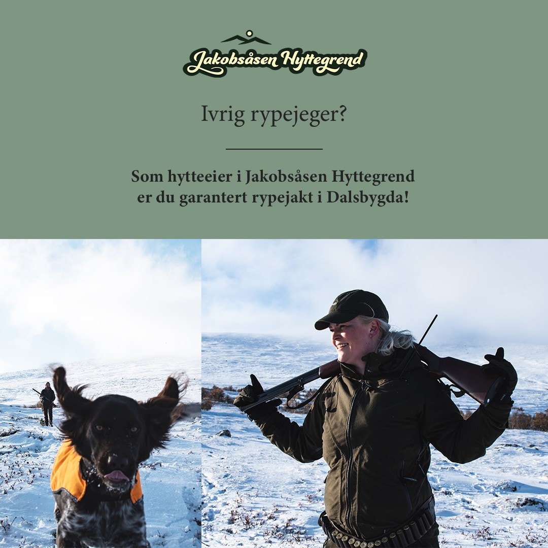 Rypejaktgaranti for hytteeiere! Galleribilde
