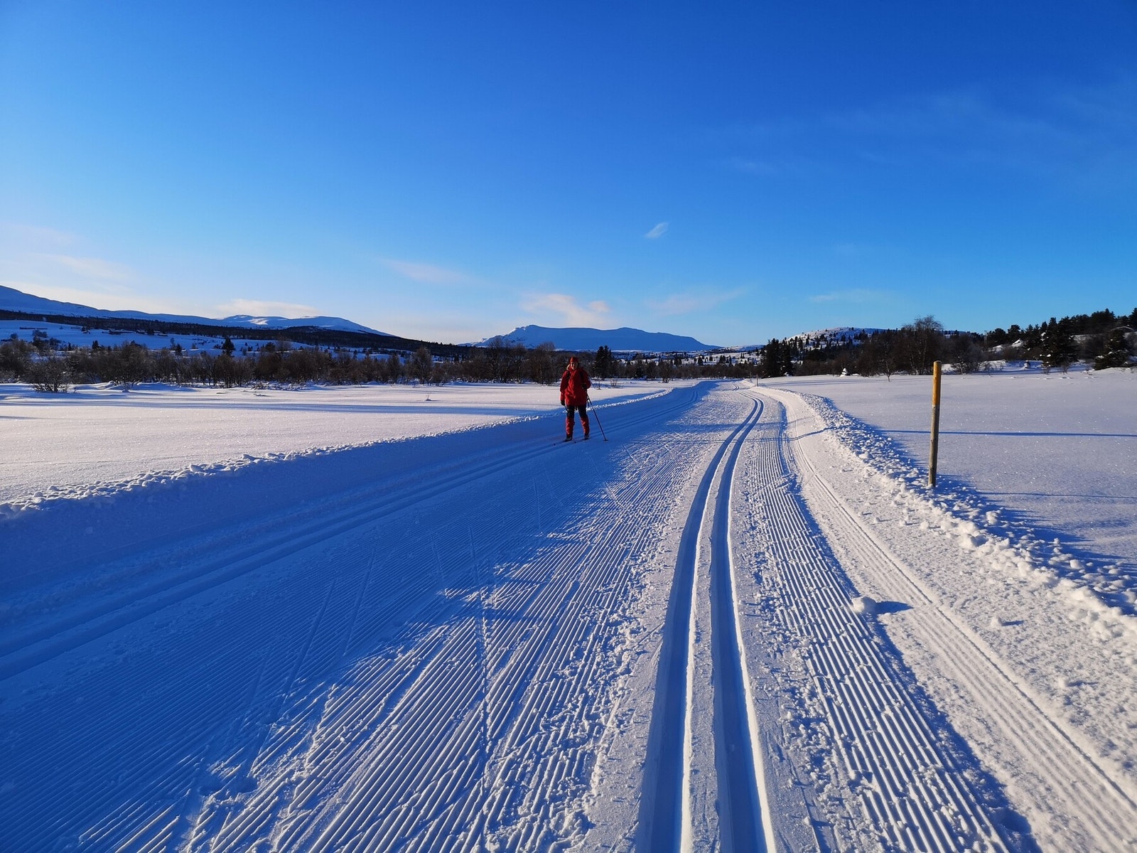 Selgers private bilde. Flotte skiløyper rett på nedsiden av hytta Galleribilde