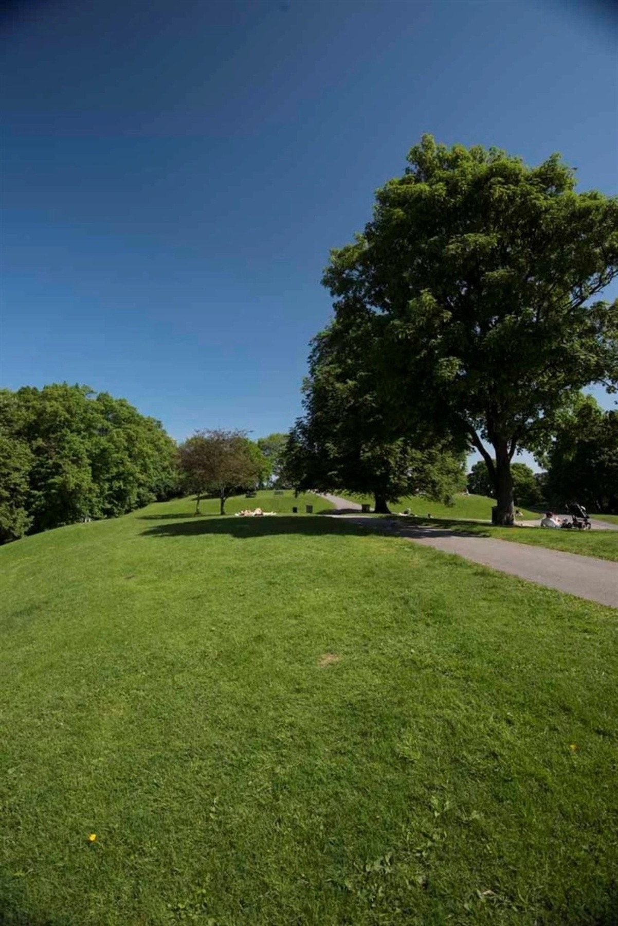 200 meter til Stensparken. Galleribilde