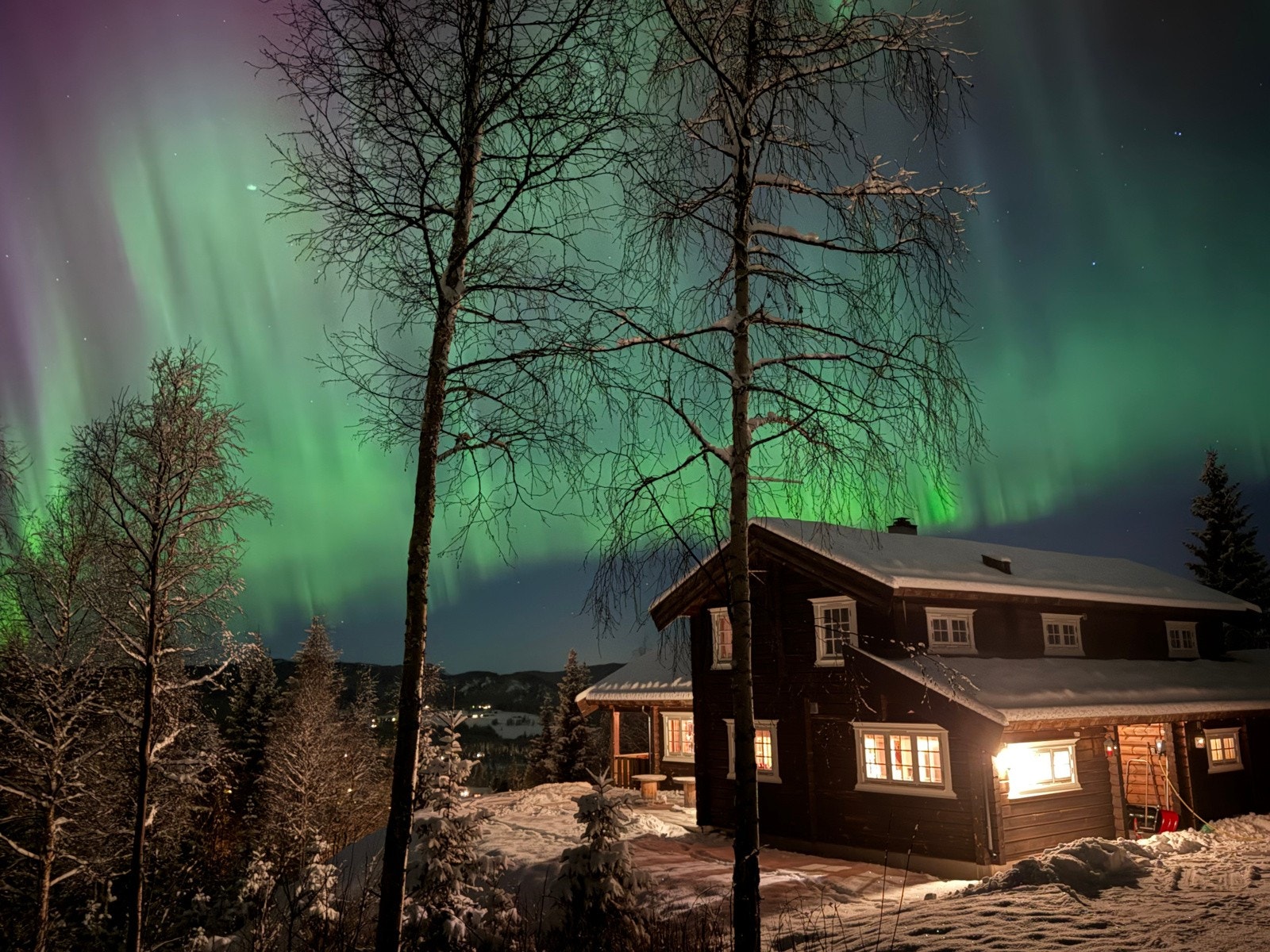 IMG_3941 Galleribilde