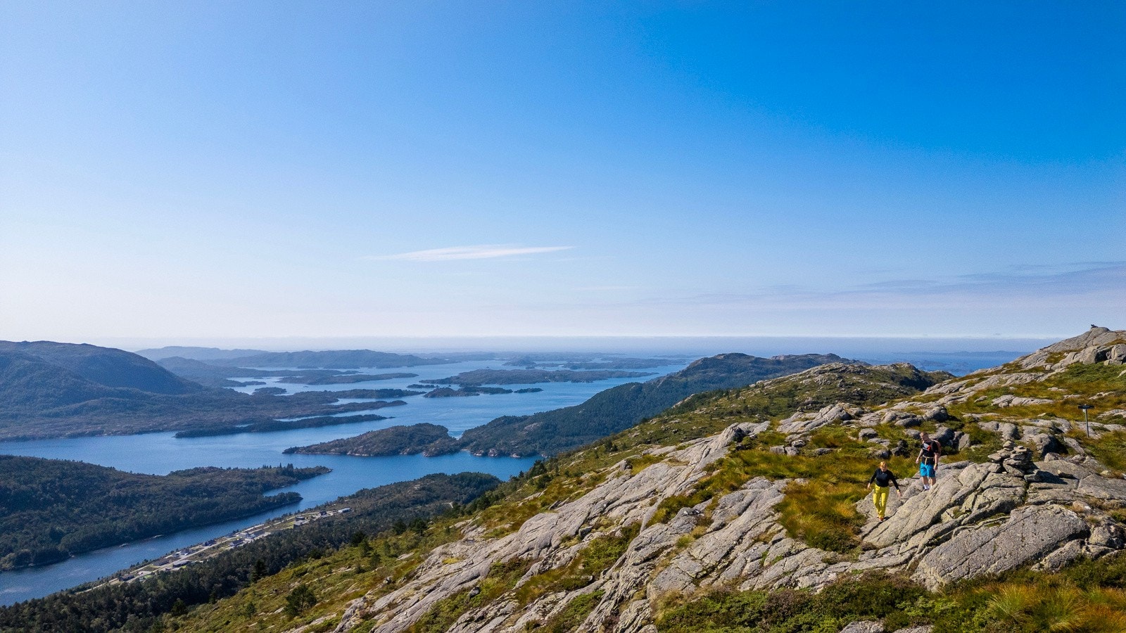 Turtereng fjell Galleribilde
