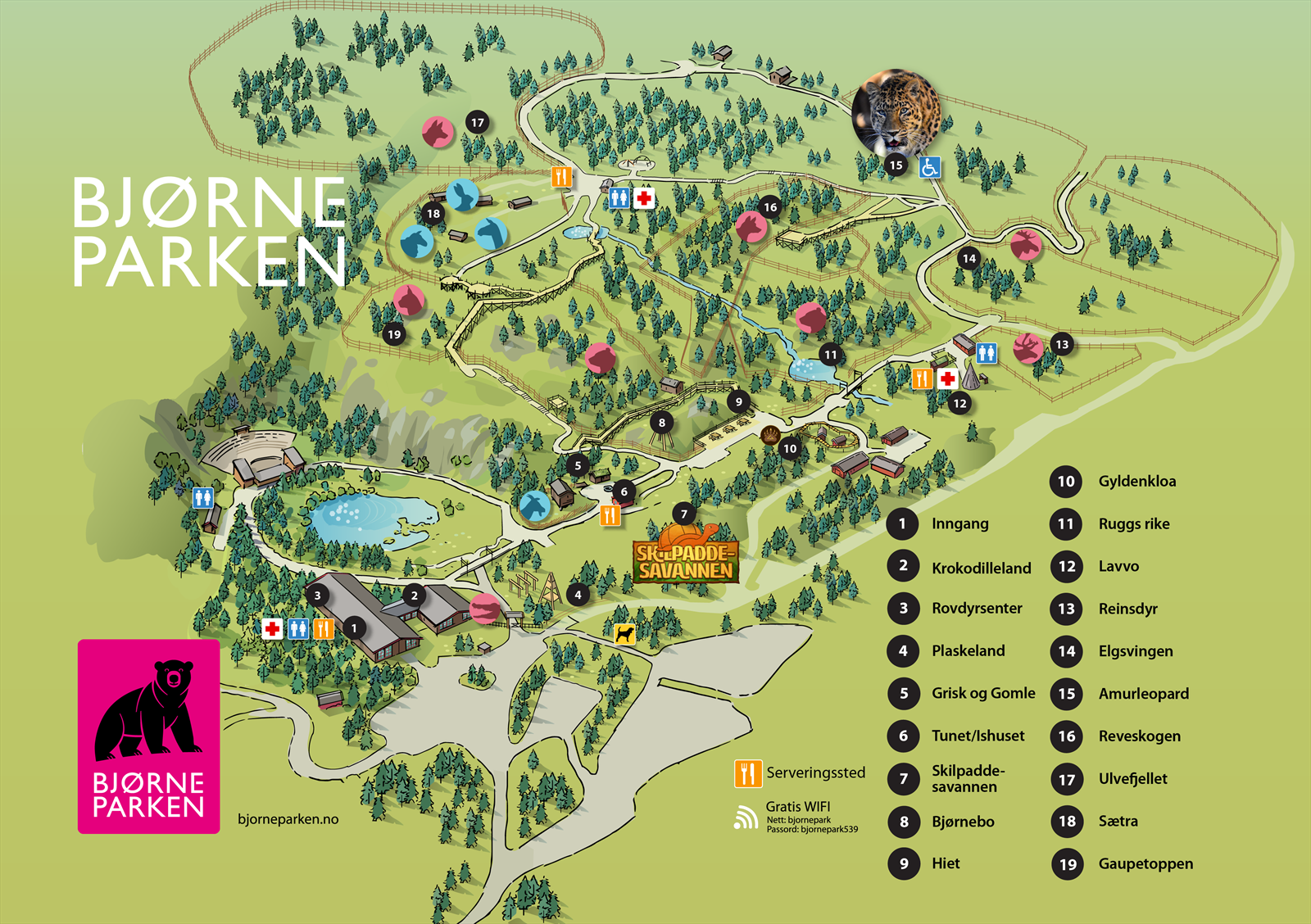 Bjørneparken i Flå ligger kun 35 min fra hytta. En ypperlig destinasjon for familien i sommerhalvåret. Galleribilde