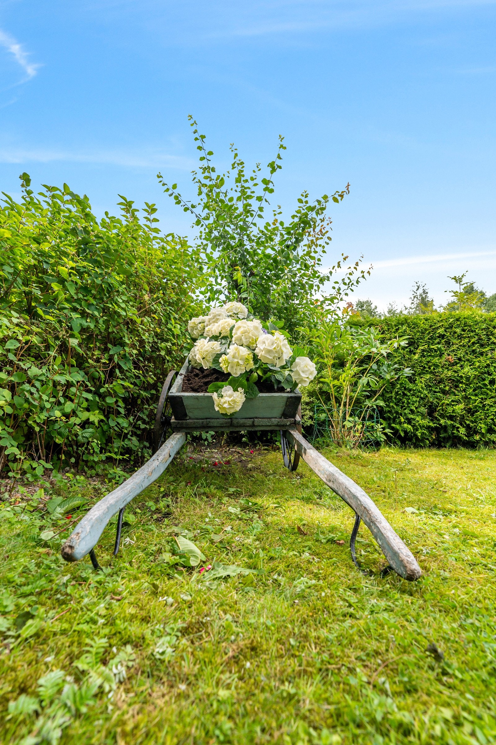 Flott opparbeidet hage med gressplen, fin beplanting og flere områder med plass til blomster. Galleribilde