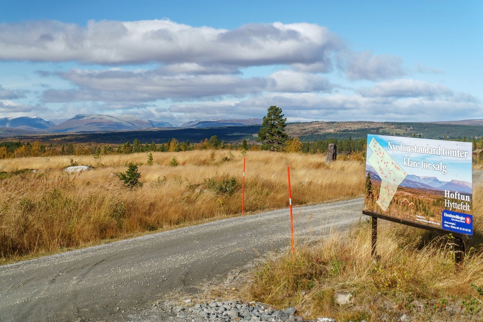 Utsikten innover mot Jotunheimen og Valdresfjellene Galleribilde
