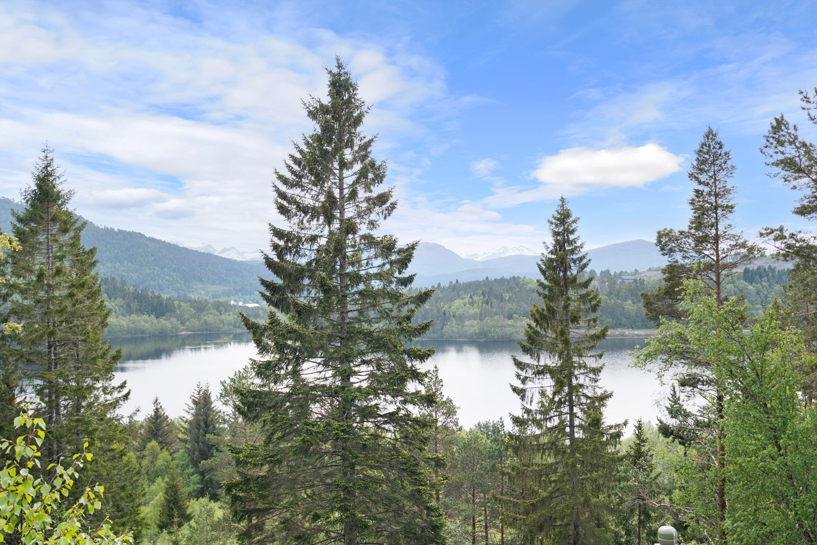 Utsikt fra terrassen Galleribilde