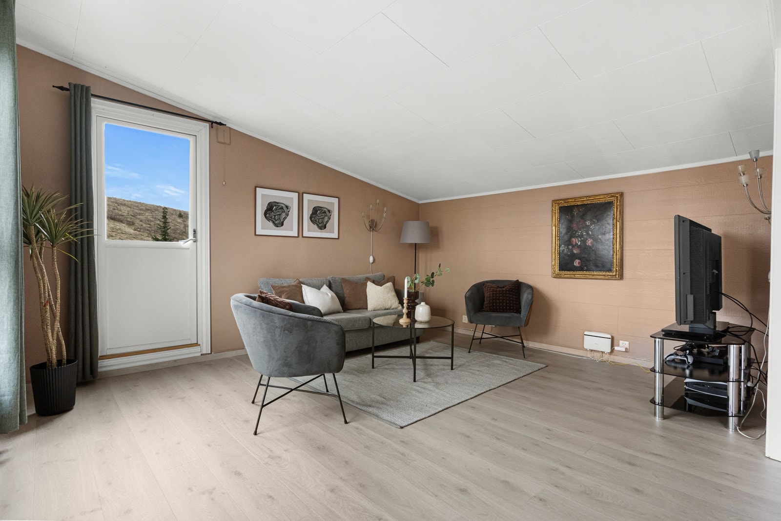 Fra tv-stuen er det utgang til takterrassen. Galleribilde