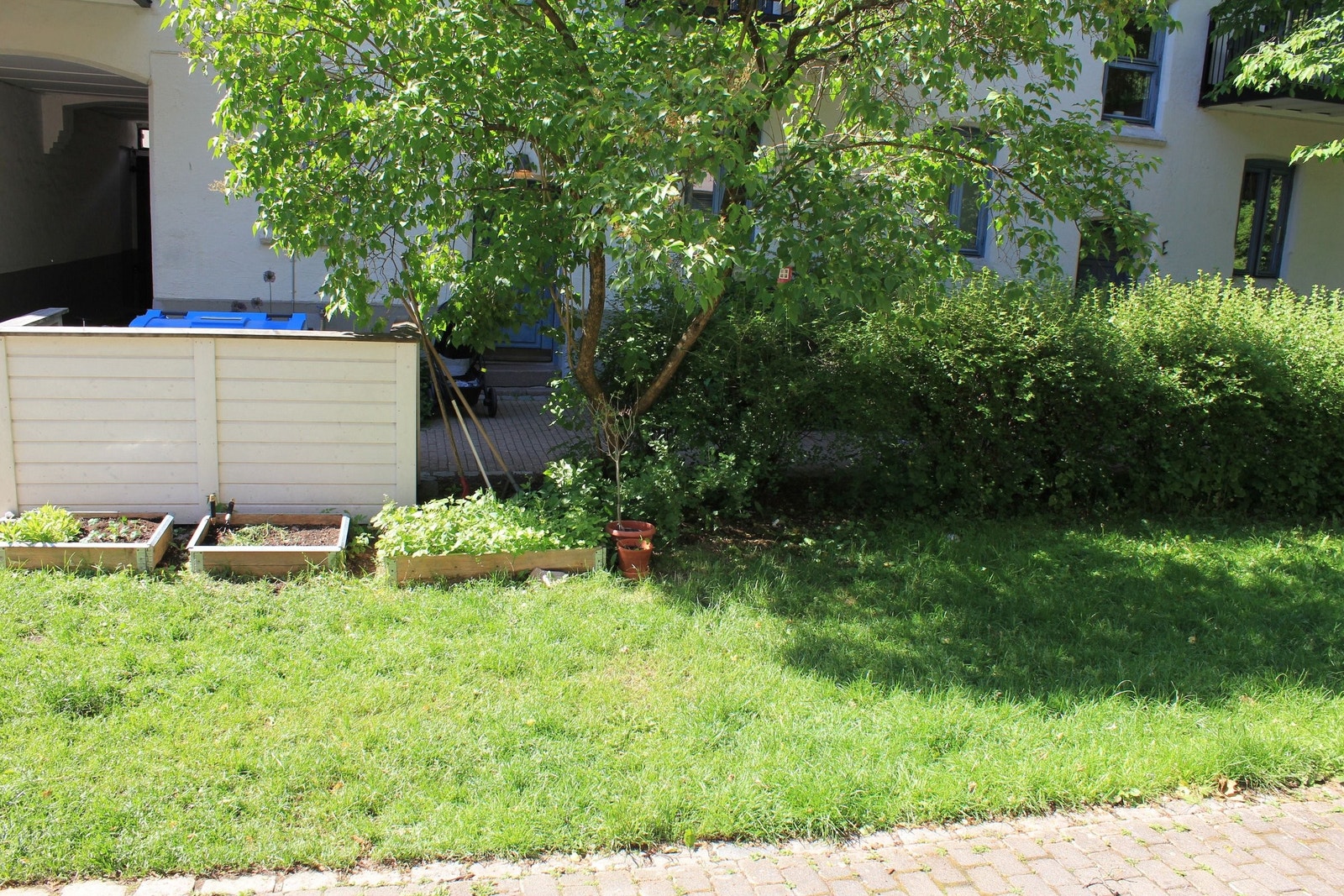 Plantekasser som følger med leiligheten der nåværende eier har dyrket krydder, gulrøtter, tomater, salat og div kåltyper. Galleribilde