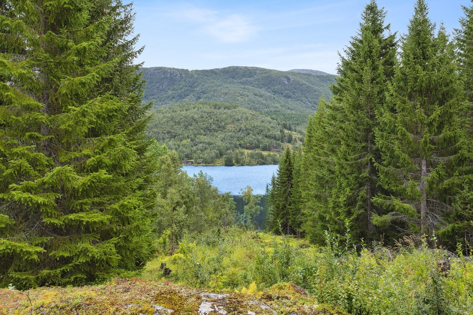 Fra boligen er det nydelig utsikt til Storvannet. Galleribilde