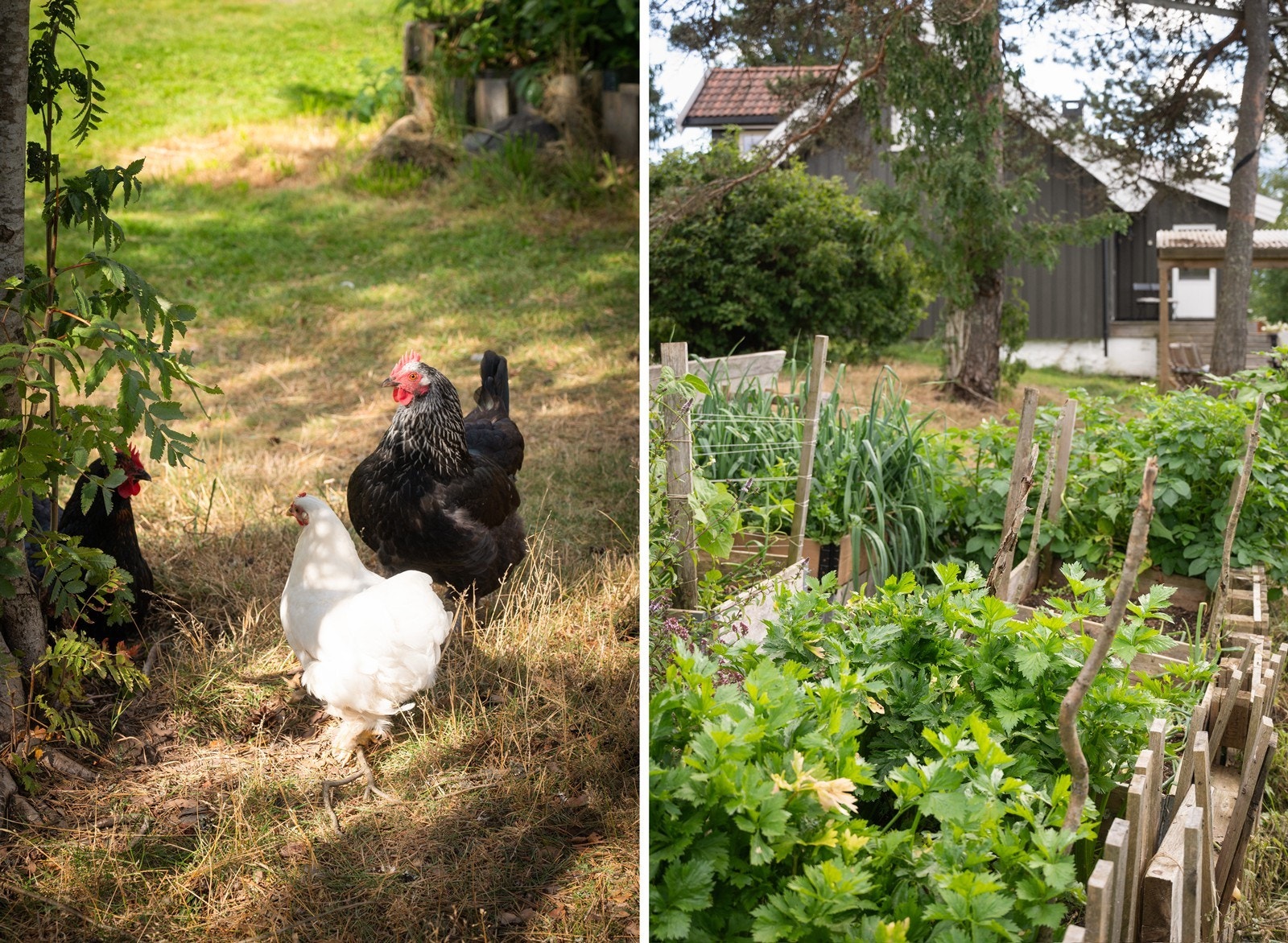 Noe av det du får på Sørbråten Galleribilde