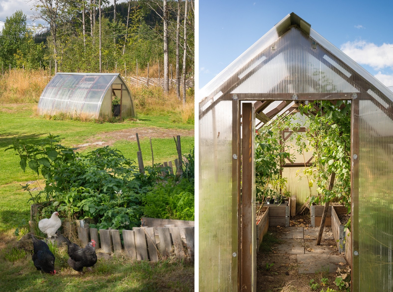 Kjøkkenhage og drivhus er andre muligheter Galleribilde